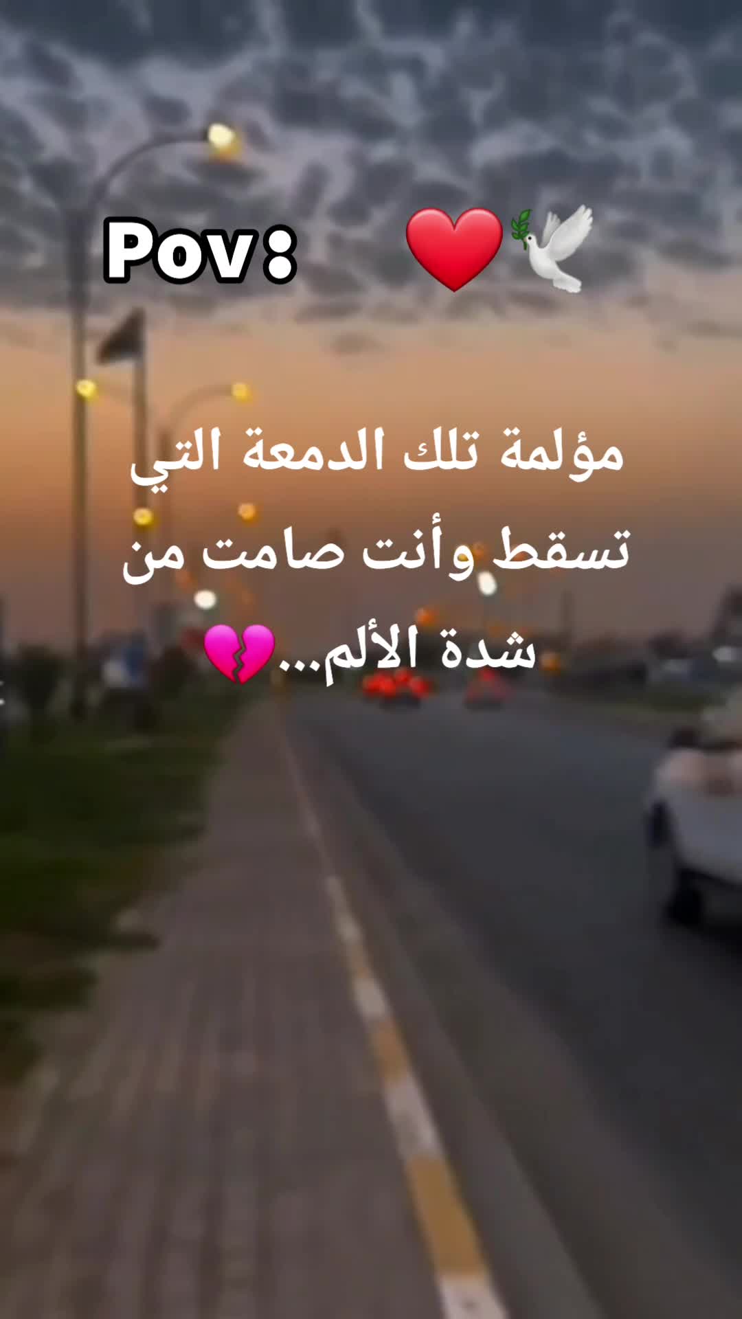 @🇩🇿🕊ستوريات🇩🇿🕊
