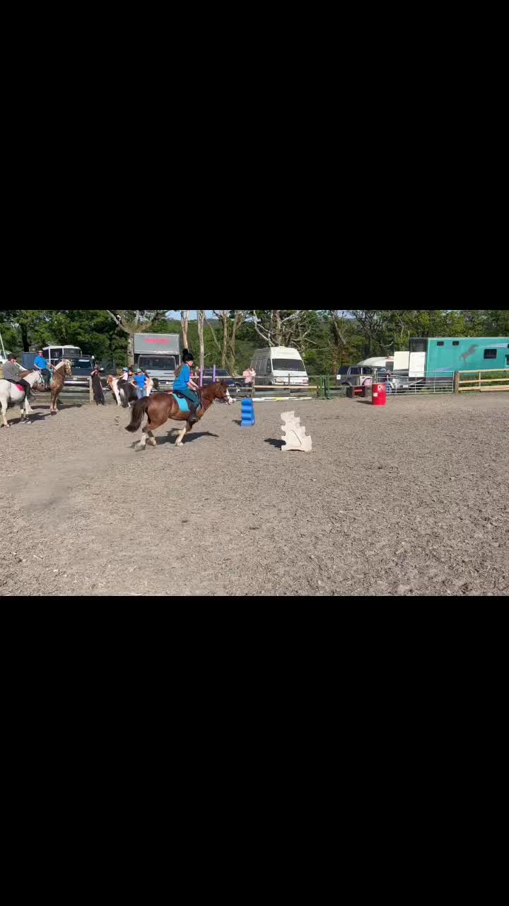 @Horses <3