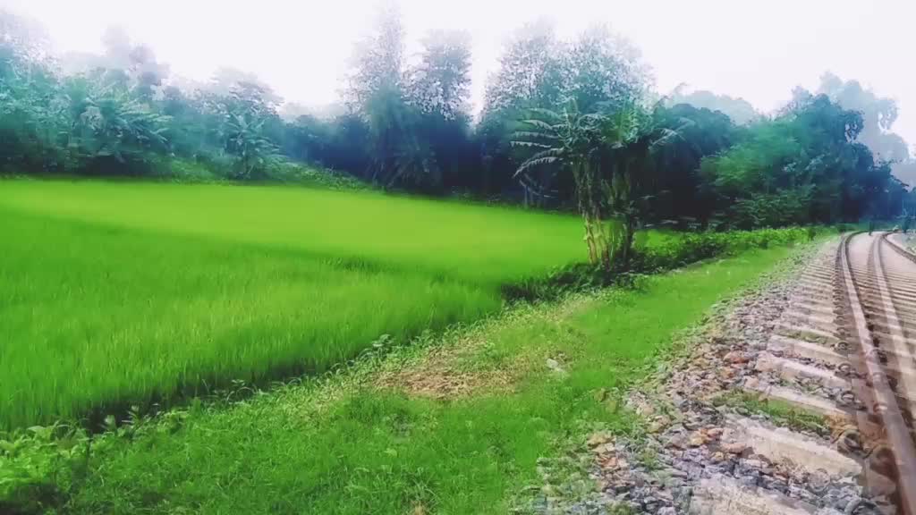 @vanumoti183