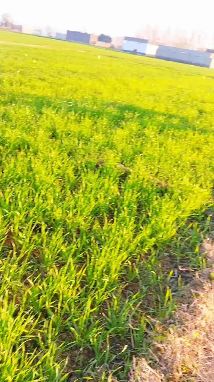 @farhanyousafza1