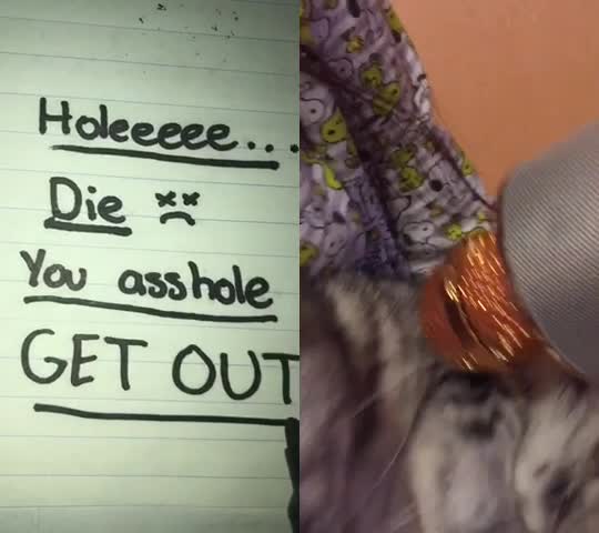 @Hello