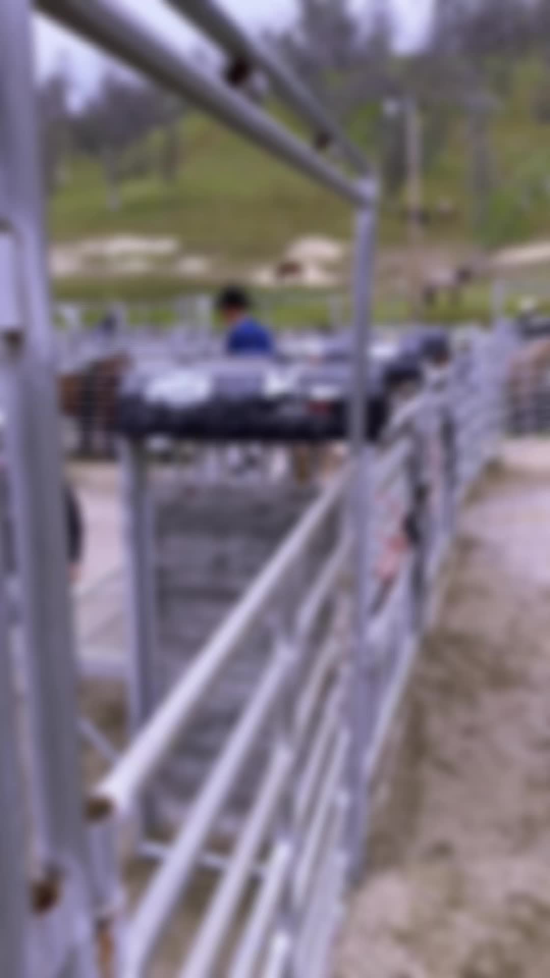 @VeaterRanch