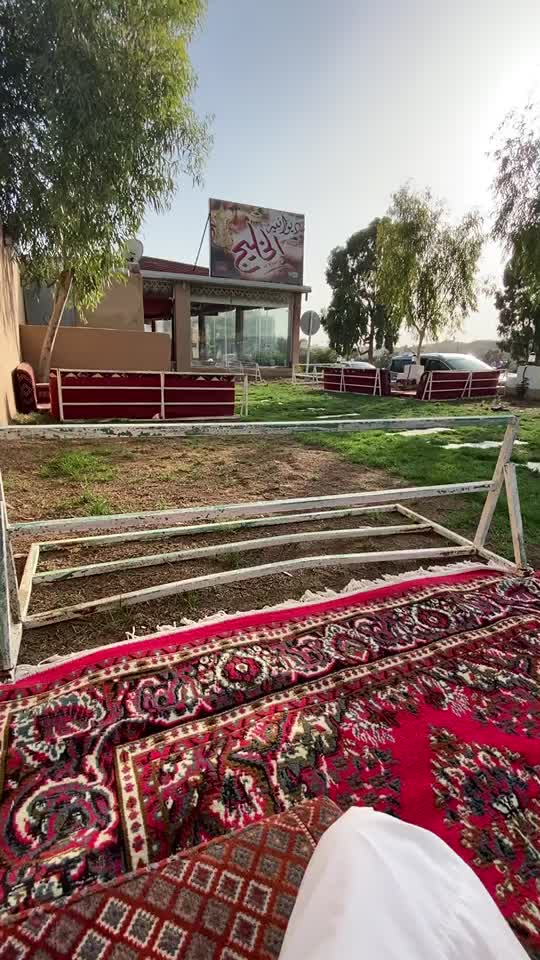 @عز محمد 〽️