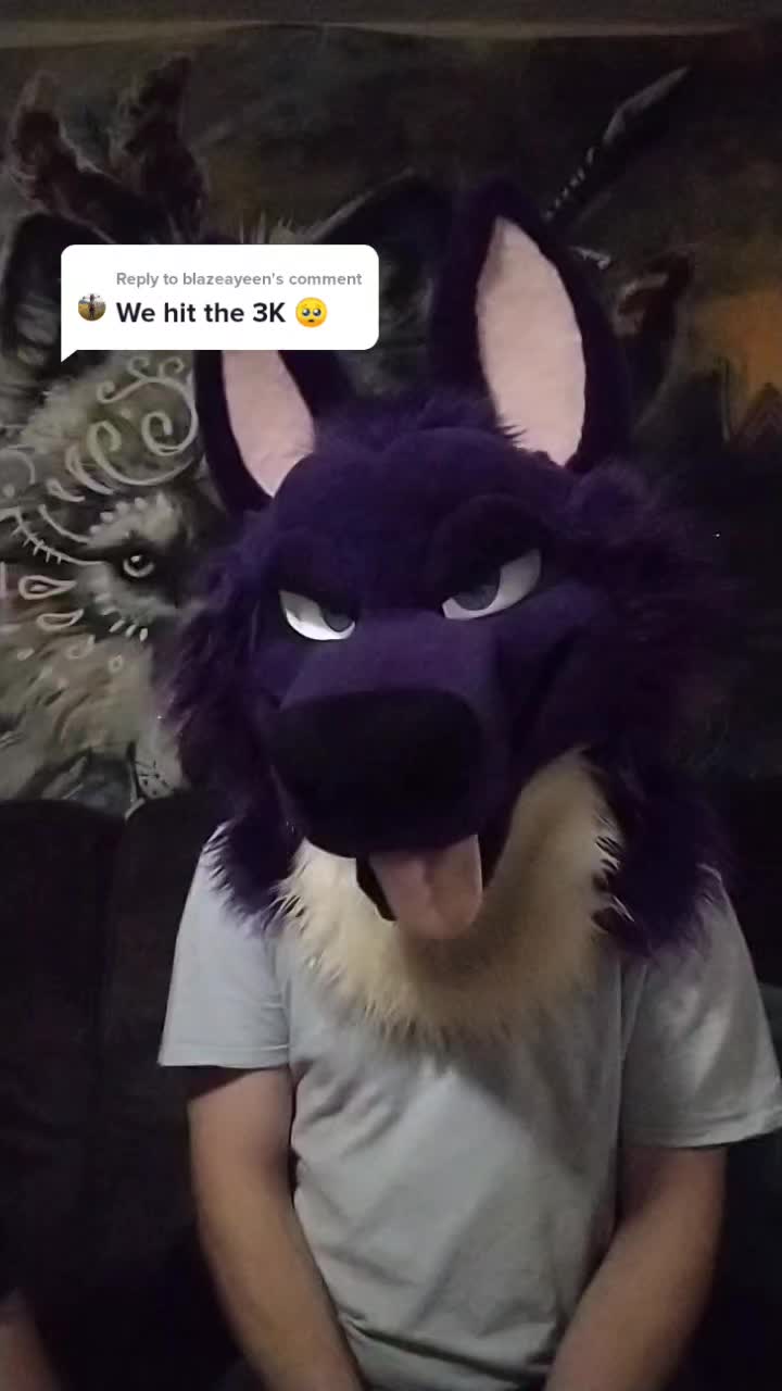 @sparkshuskyy