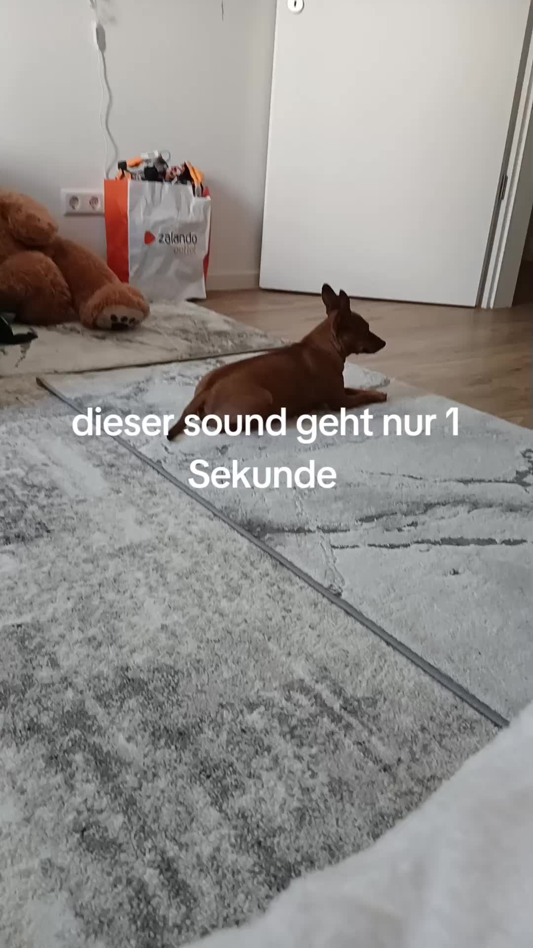 @toxi