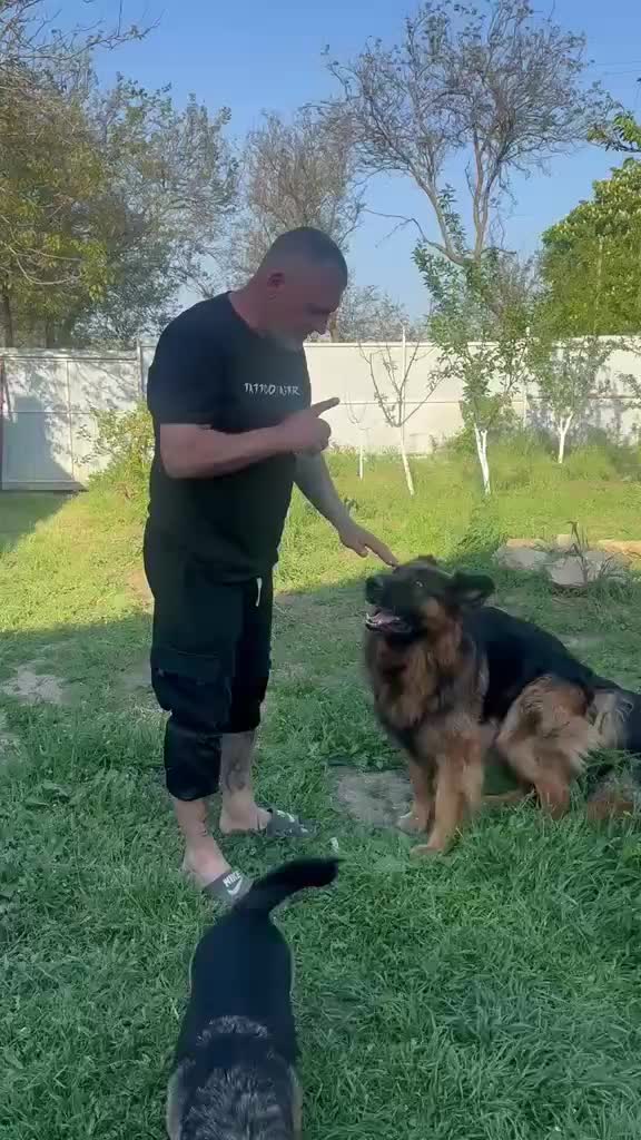 @Тату мастер Чалтырь