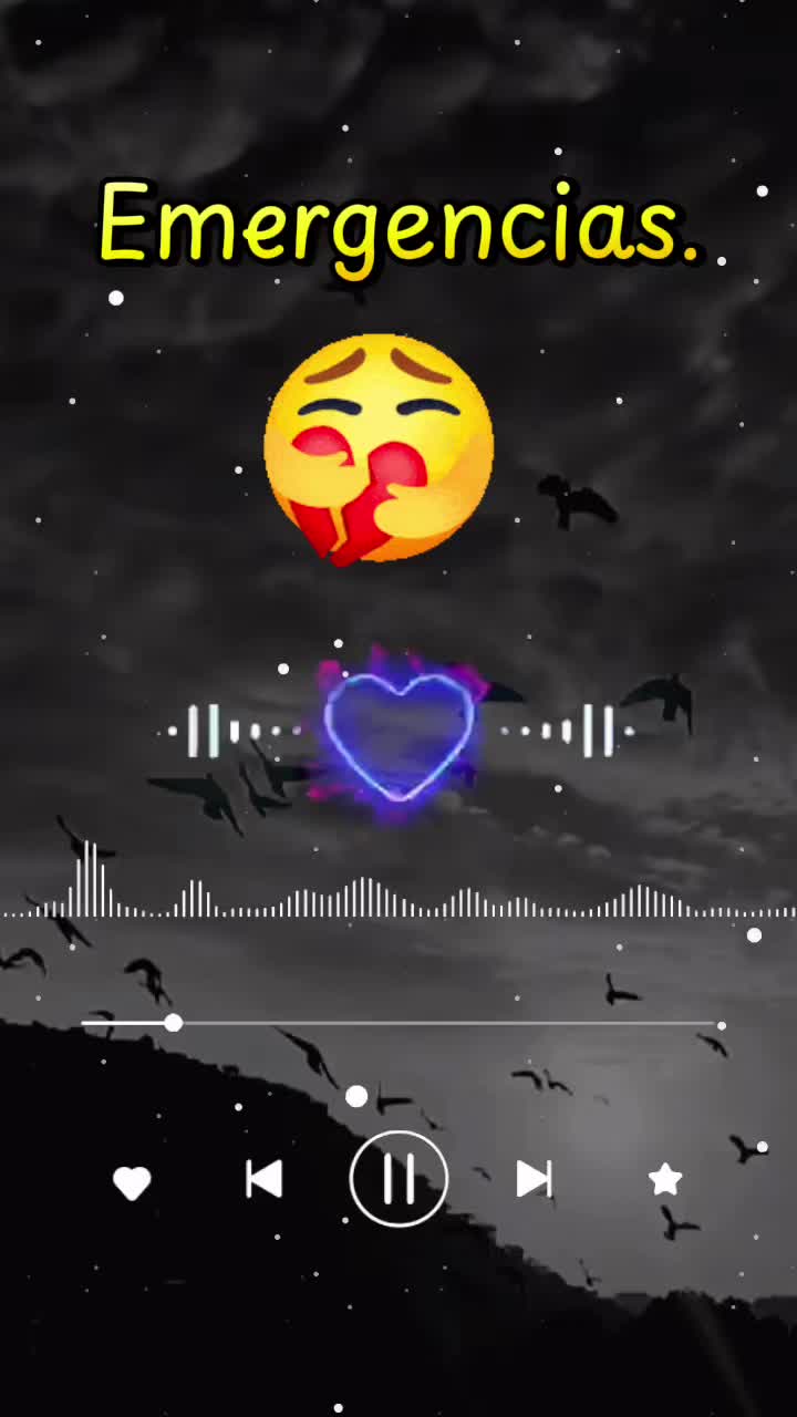 @Bella luna 🌓