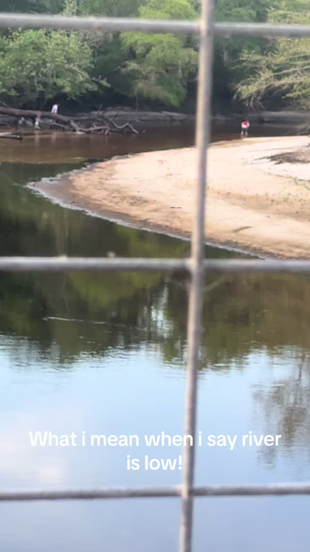 @Satilla River king