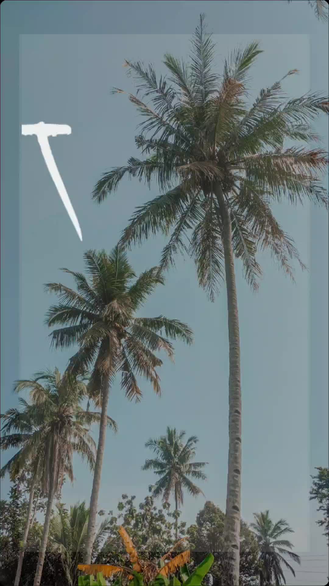 @𝖗𝖊𝖓𝖌𝖌𝖎𝖓𝖆𝖓𝖌🏴&zwj;☠️
