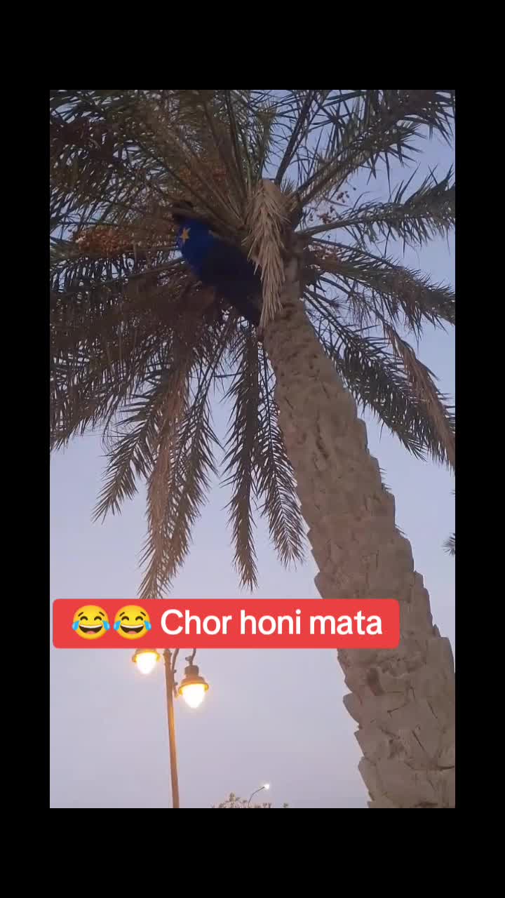 @Aaite.magar🇳🇵🇸🇦