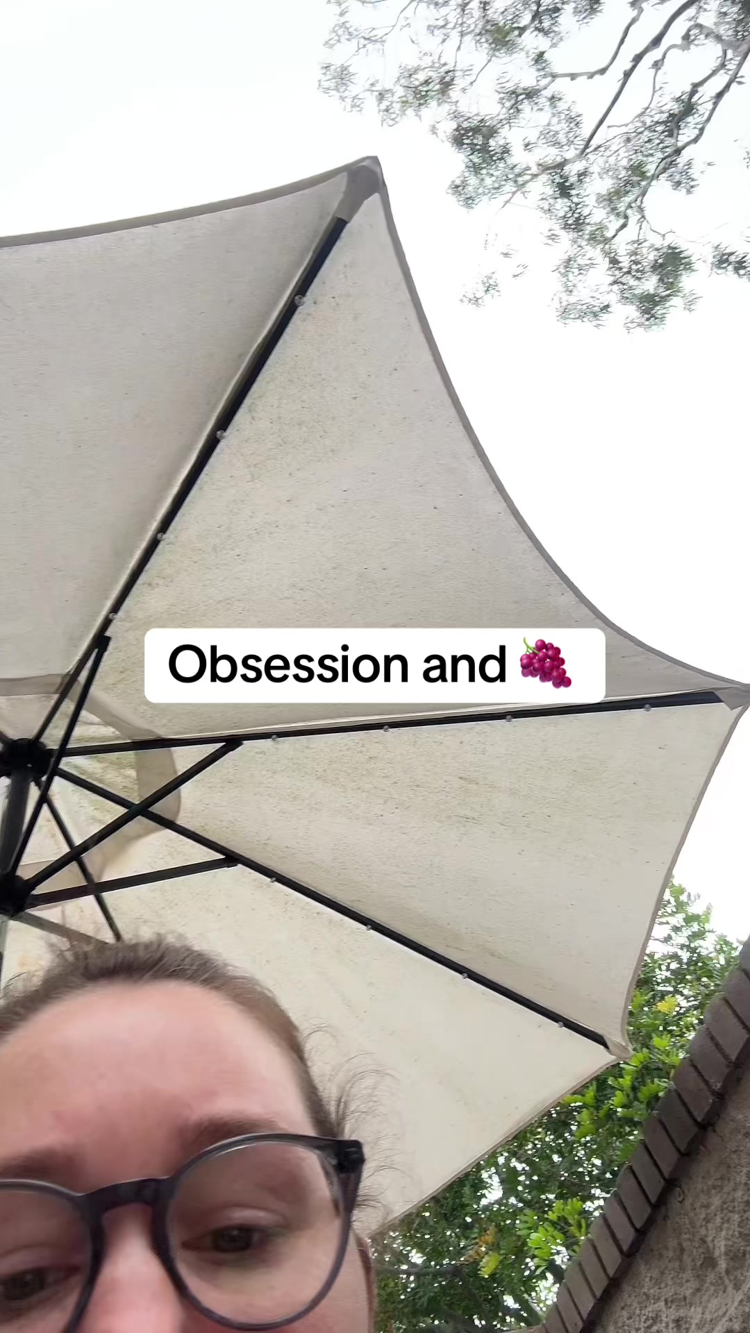 @Gremlin 🍉