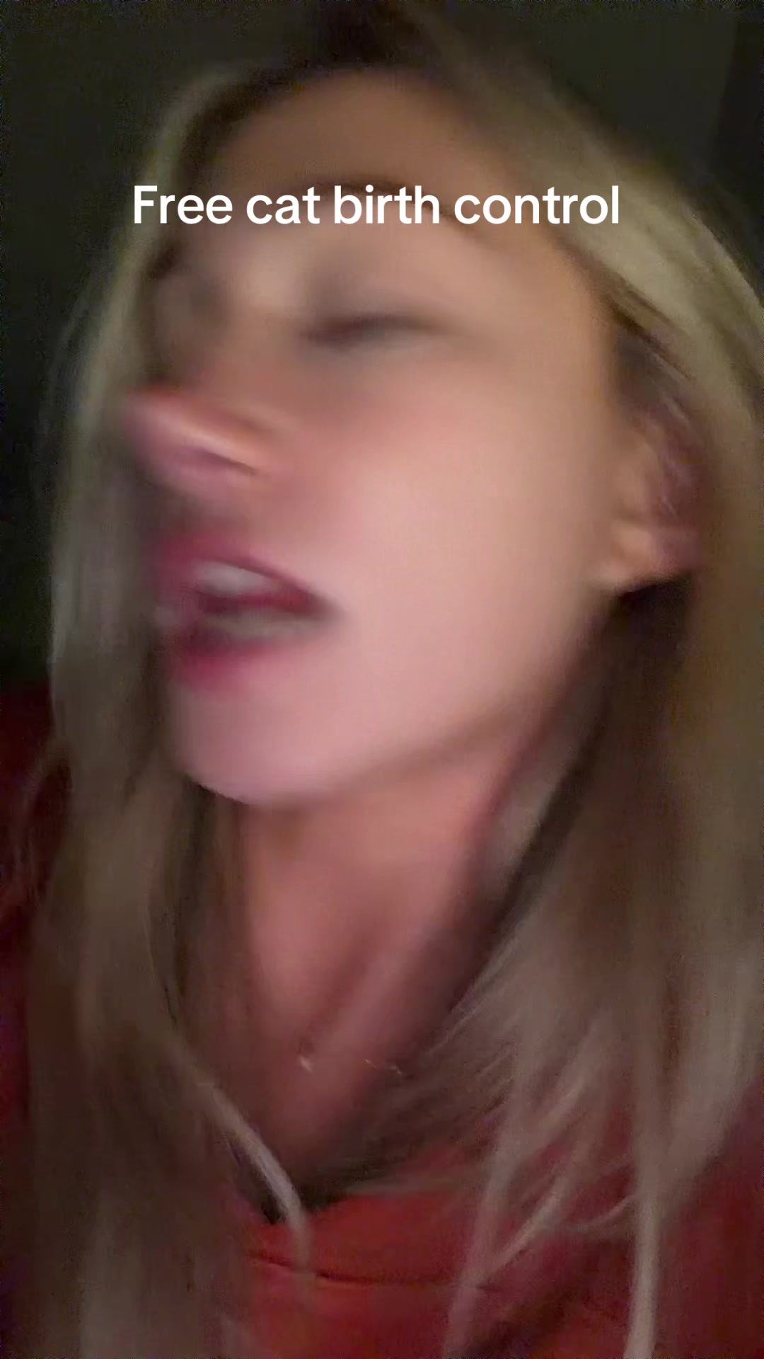 @baileyebass