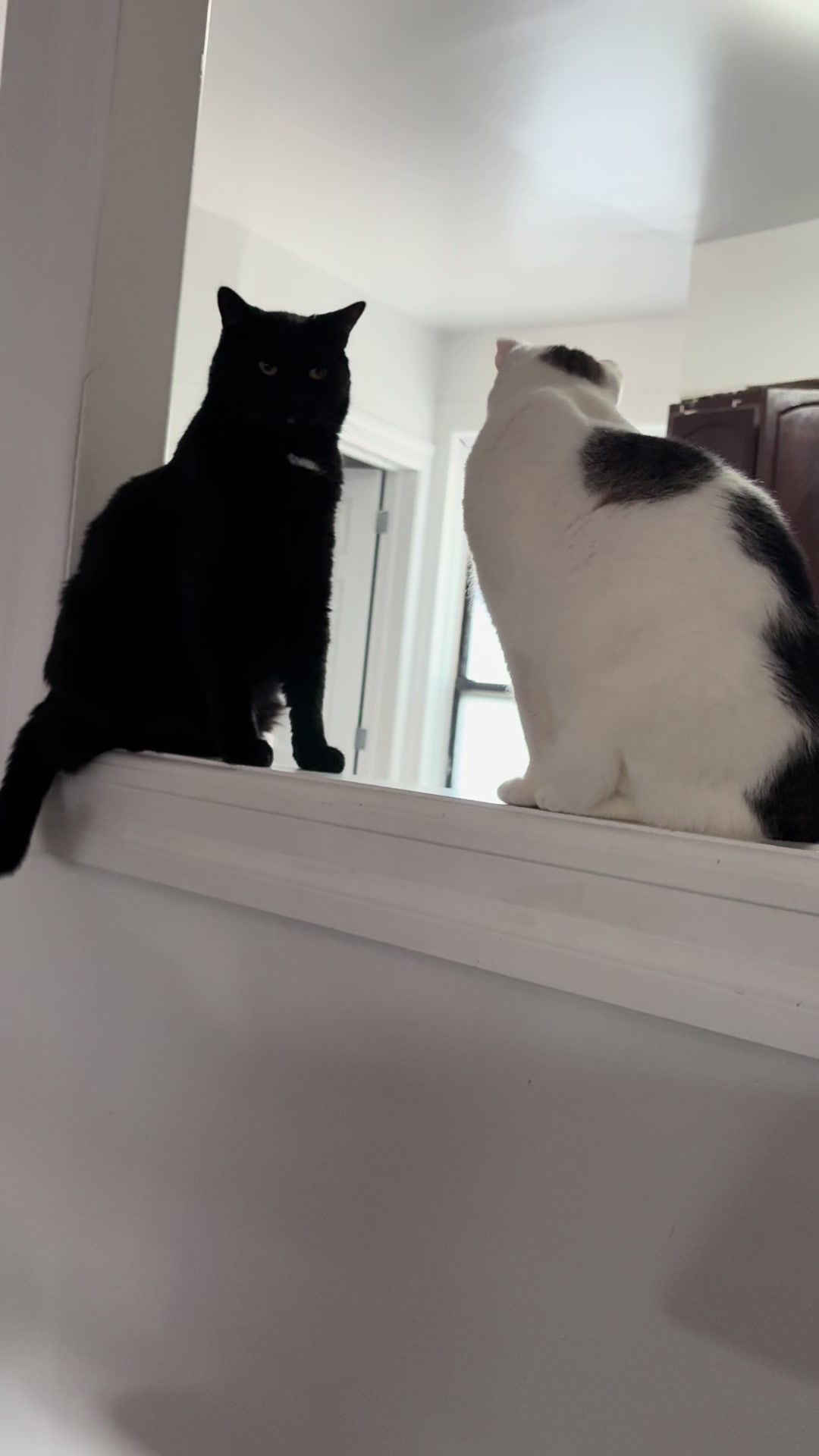 @Azorasworld ft Thackery Binx