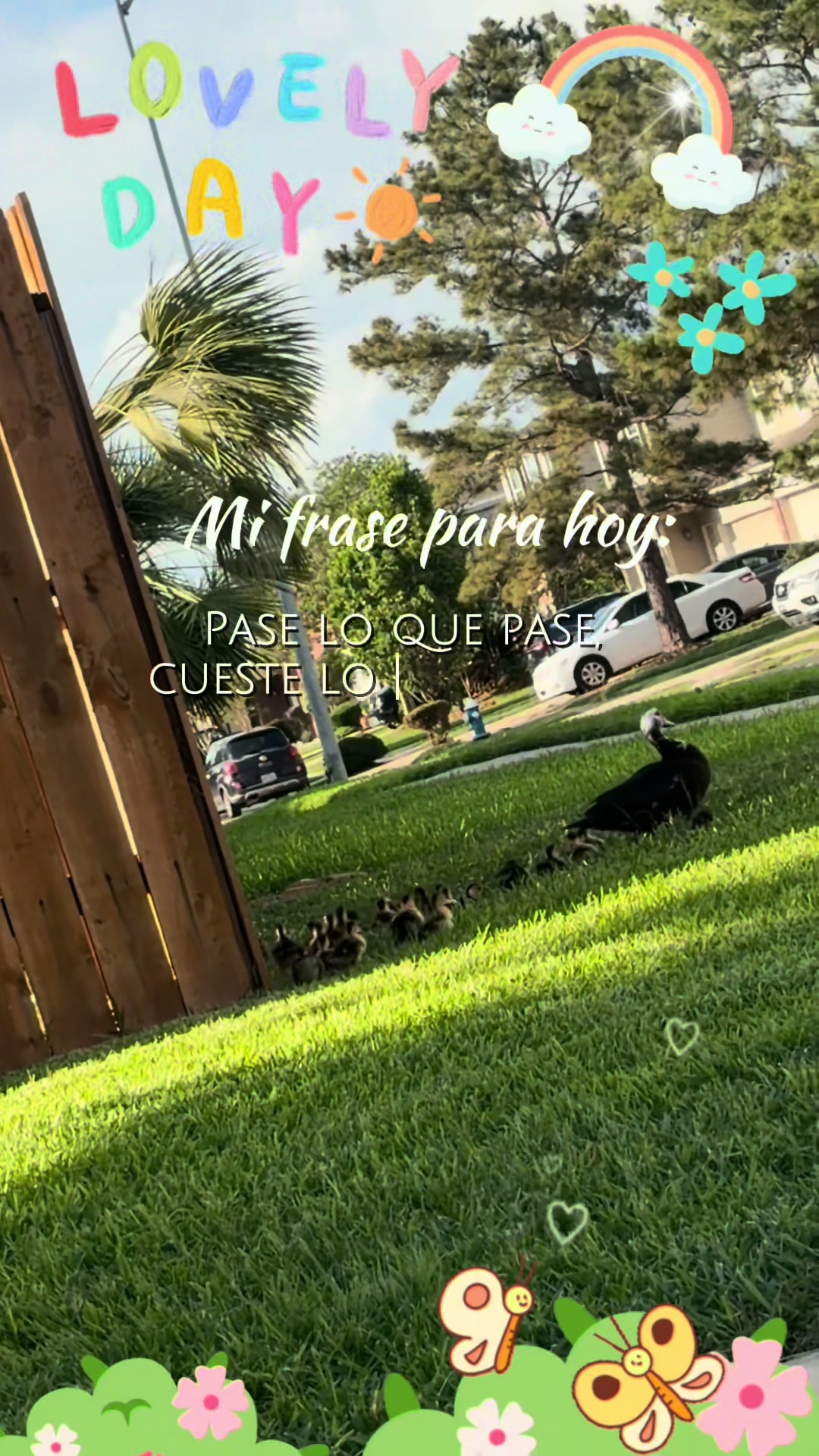 @Sandra Ramos