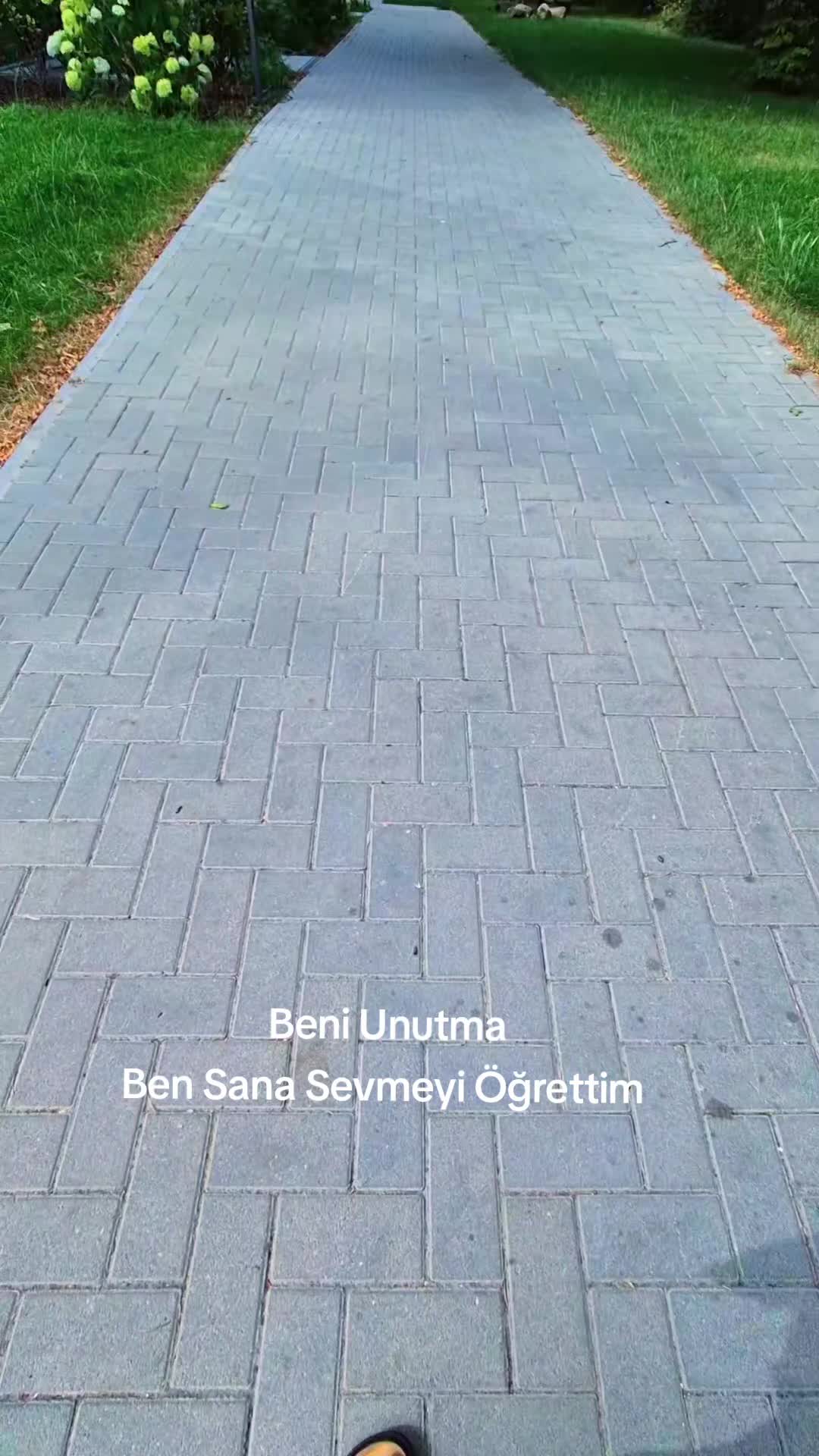 @SİBEL AY