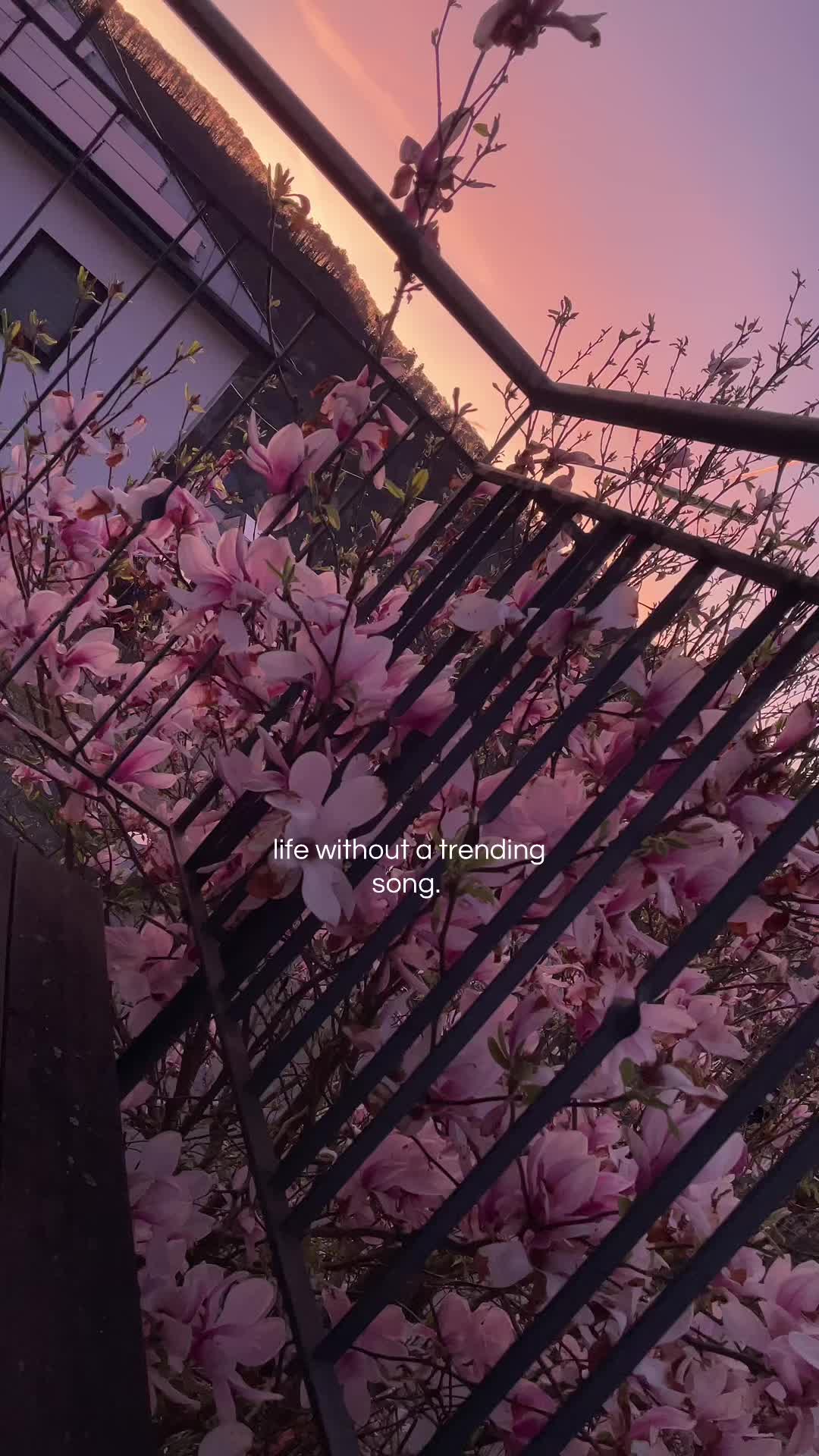 @<3