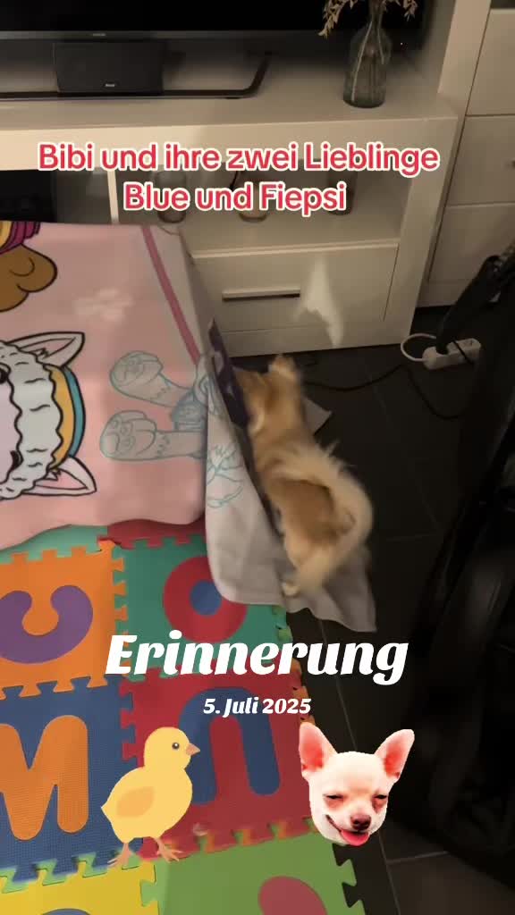 @โโ๐ฅโก๐๐ข๐โก๐ฅโโ