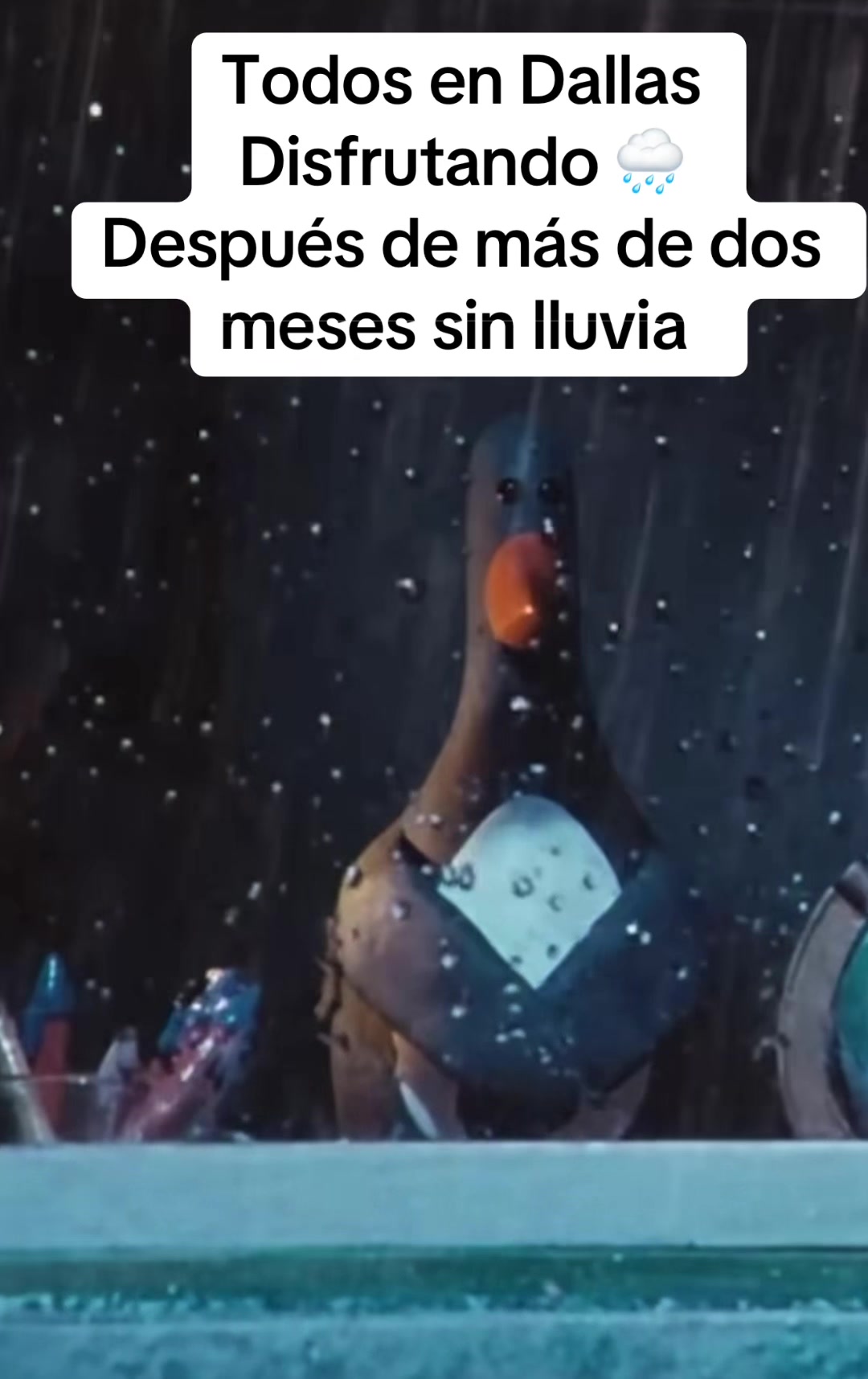 @PlantLadyLia
