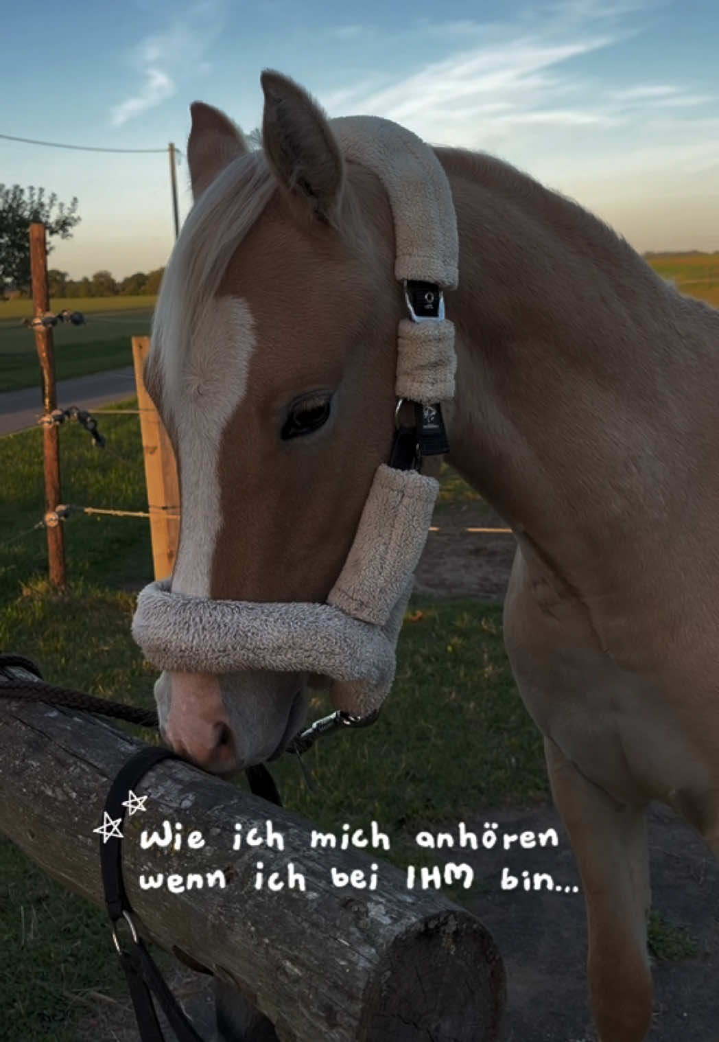 @𝐽𝑢𝑙𝑖𝑒 𝐺𝑎𝑙𝑙𝑎𝑠