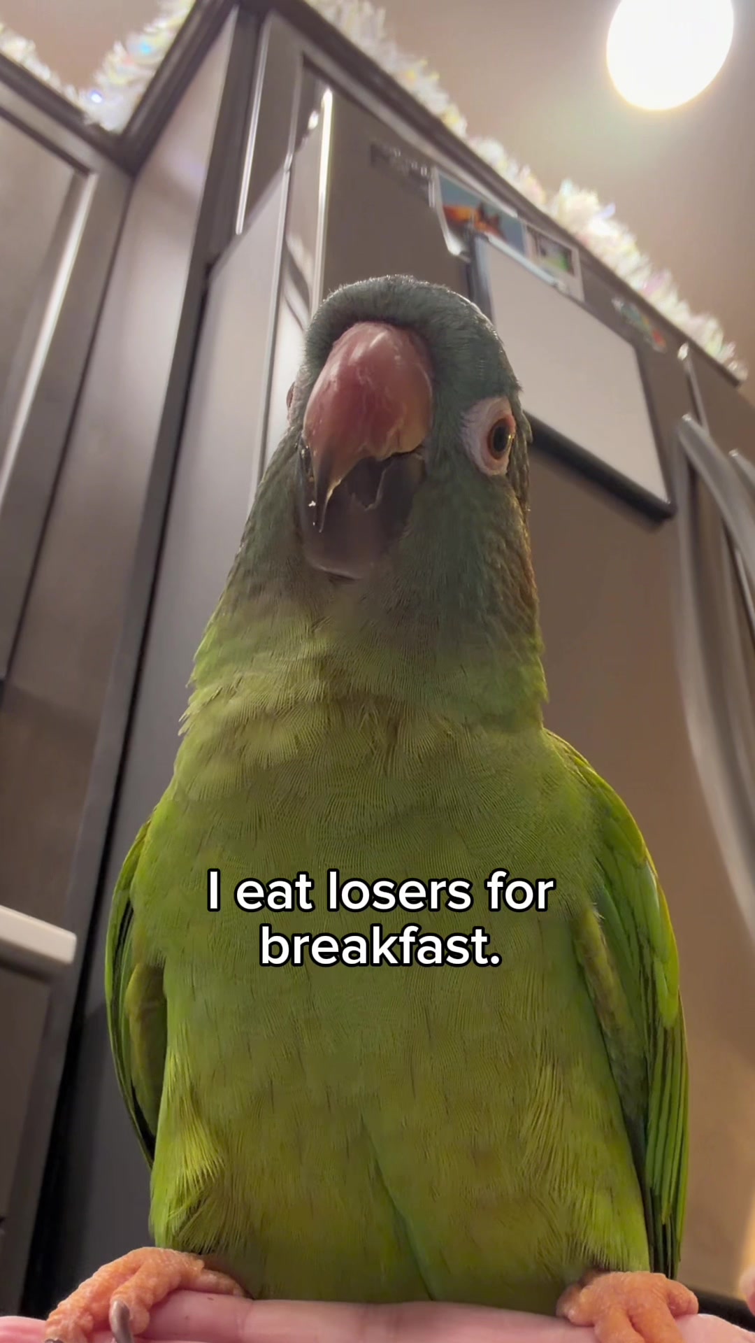 @Jessica Wings