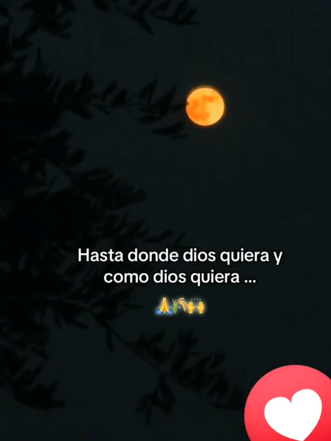 @Ortiz ✨️