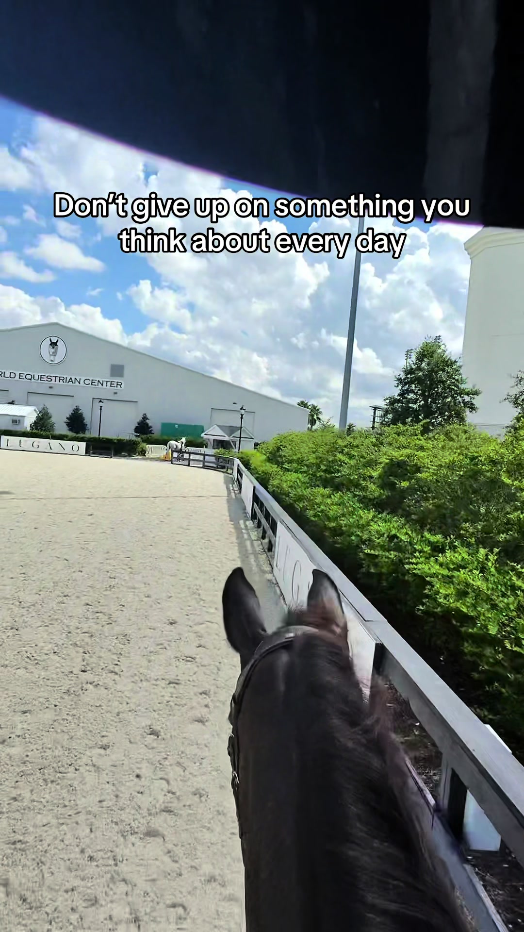 @Dakota Sheikh