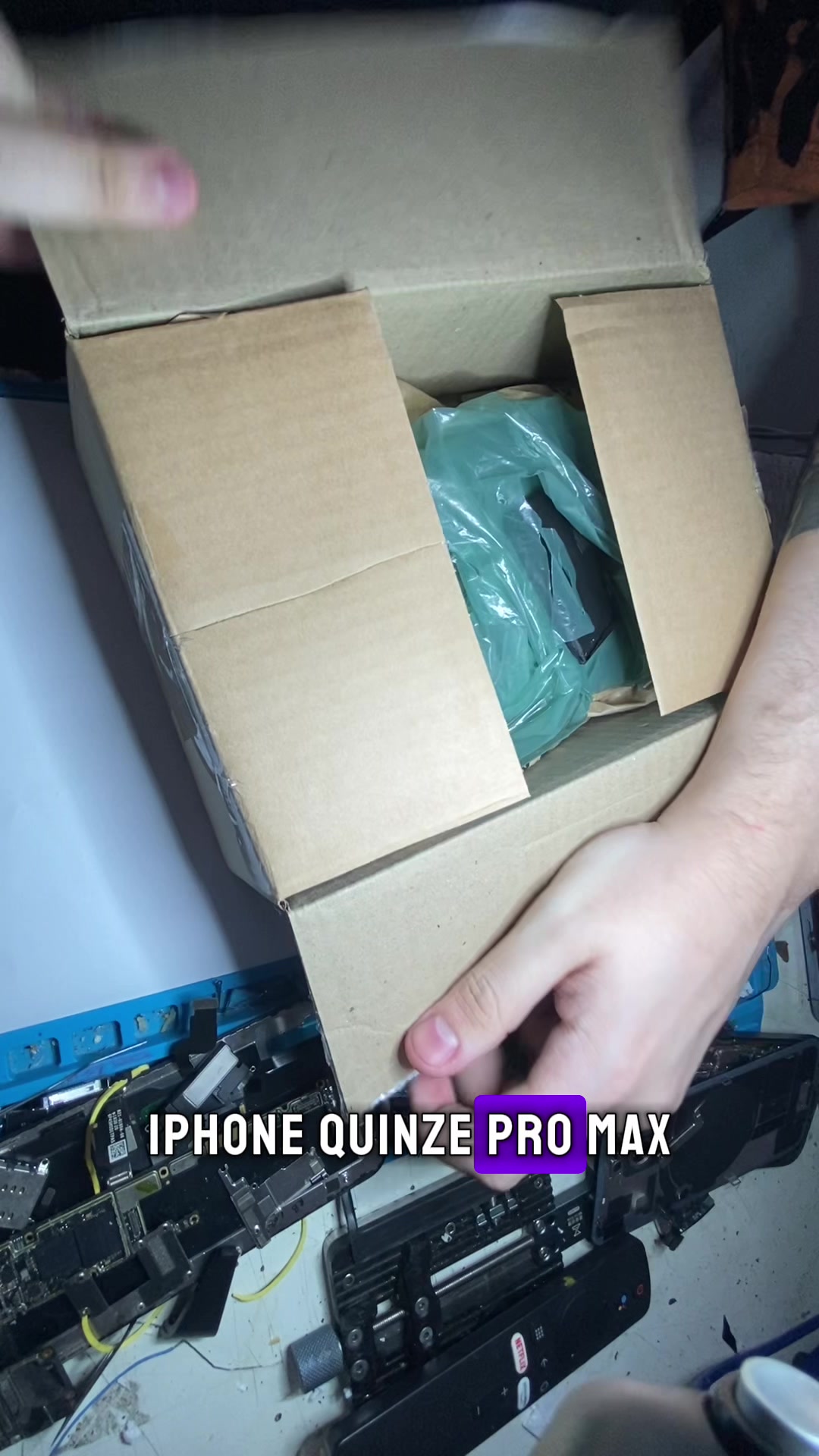@Alecs