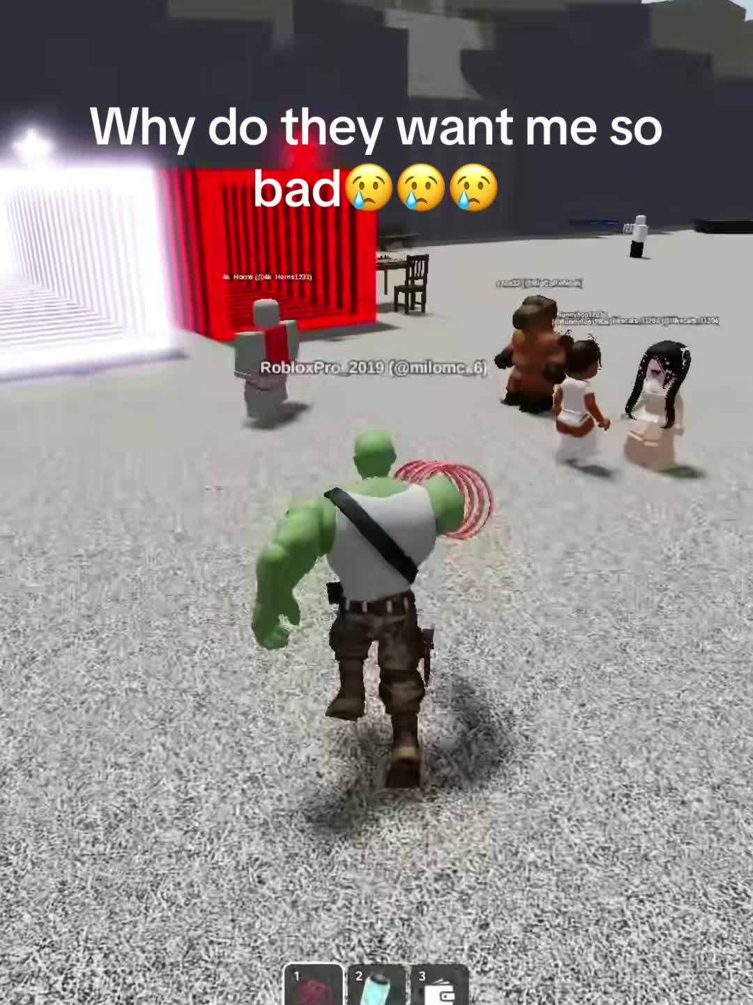 @RobloxPro_2019