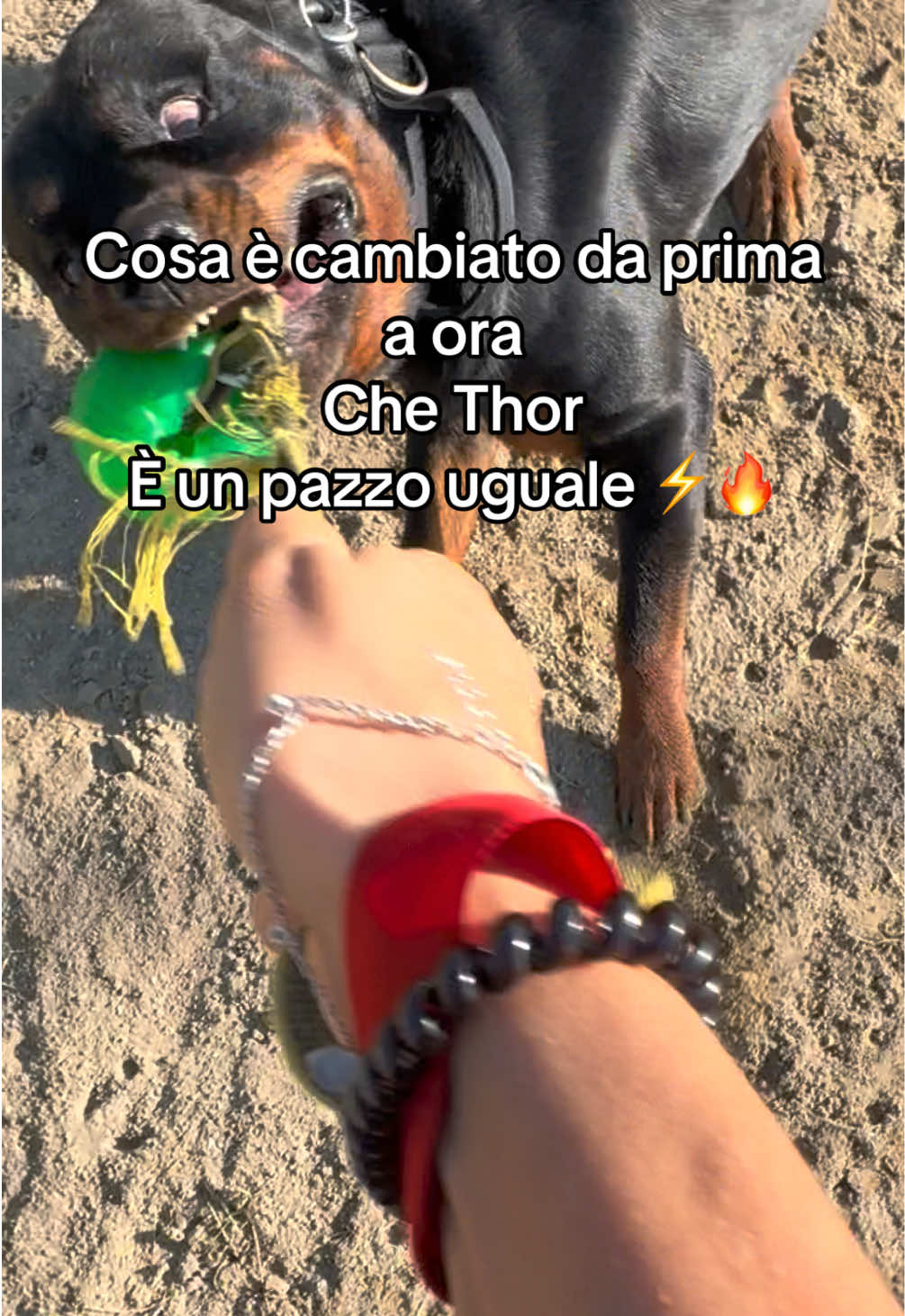 @Le avventure di Thor 🌪️ w ❤️