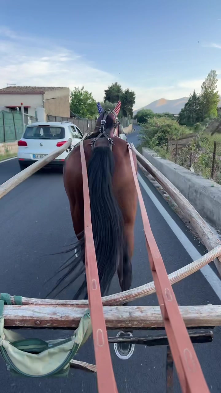 @Mario Carfì