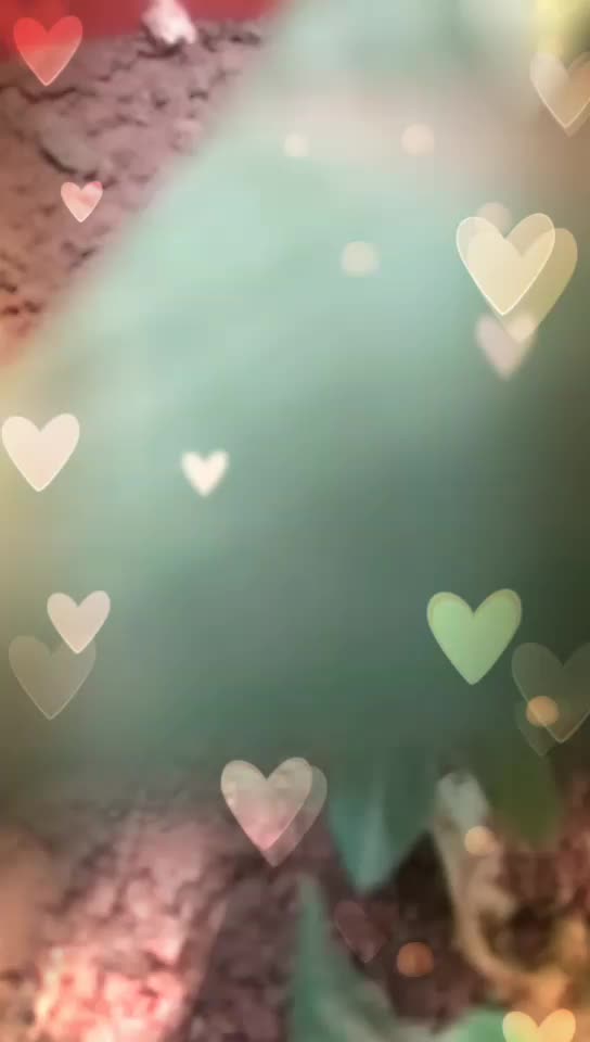@sowmya