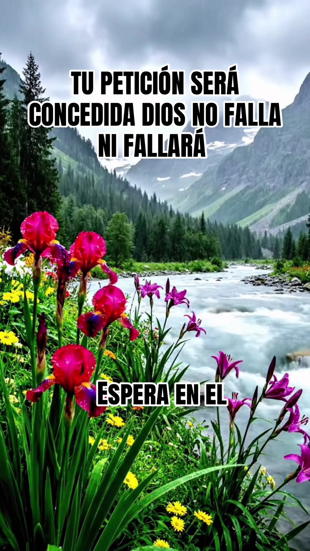 @Adelsomusicacristiana