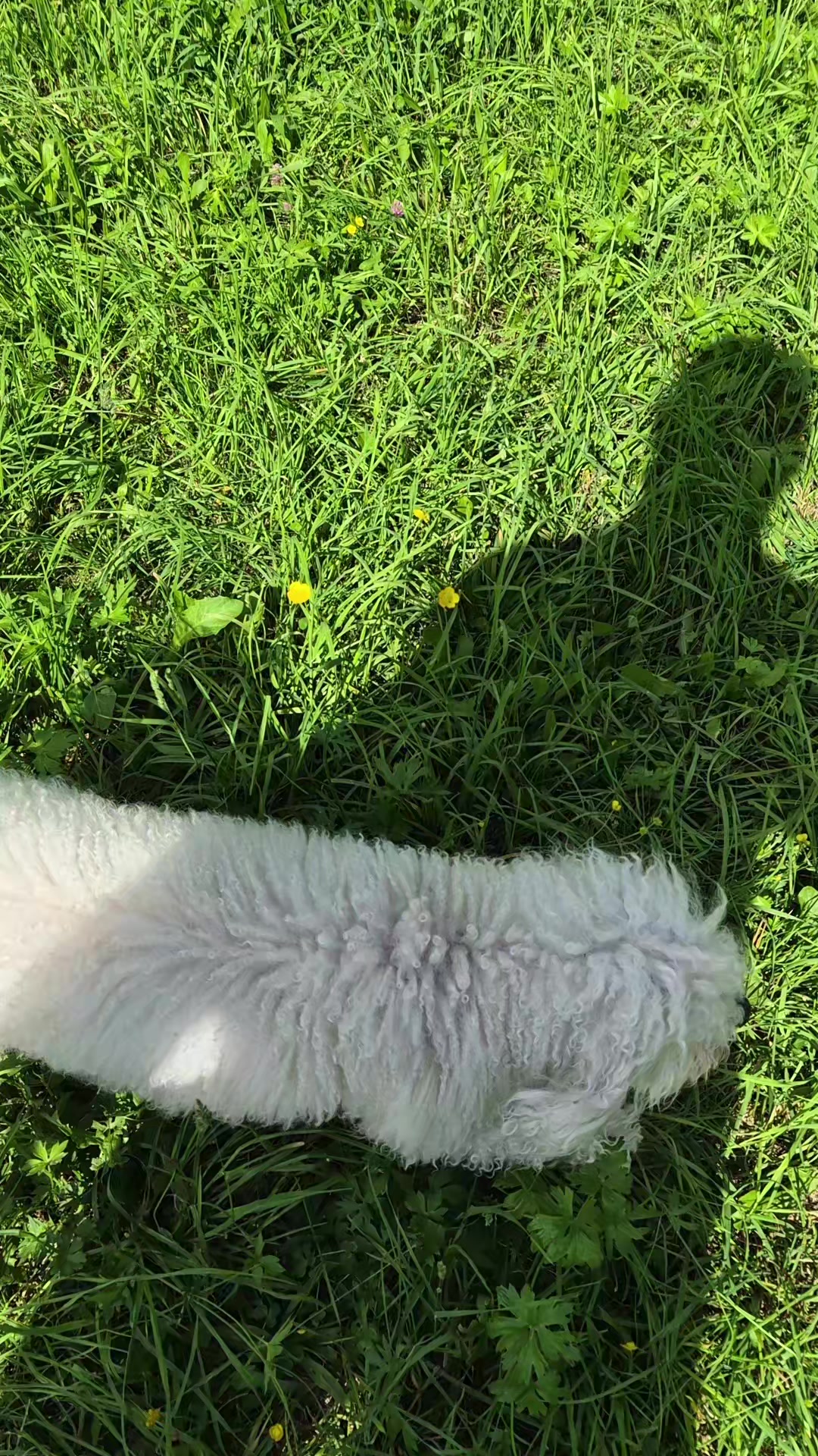 @The Gallettas