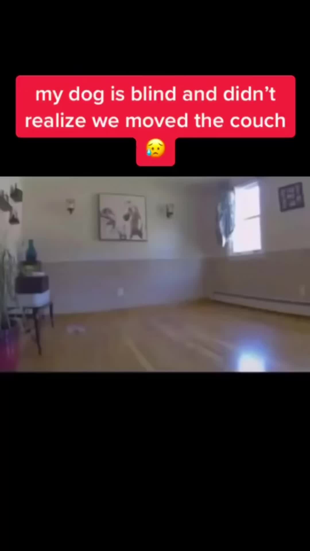 @LeeMSnow