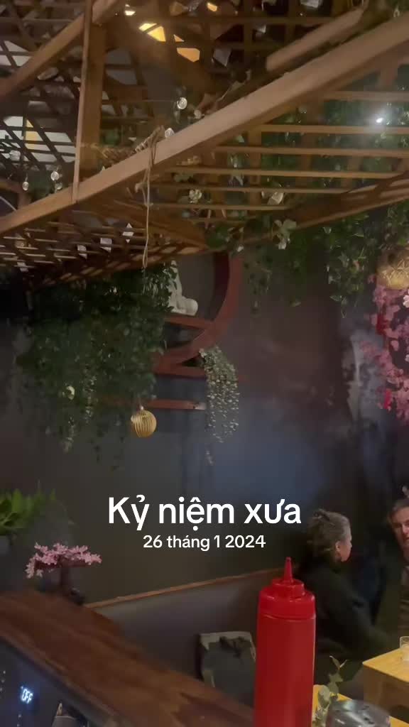 @Boyberlin 🇩🇪🇩🇪🇩🇪 🇻🇳