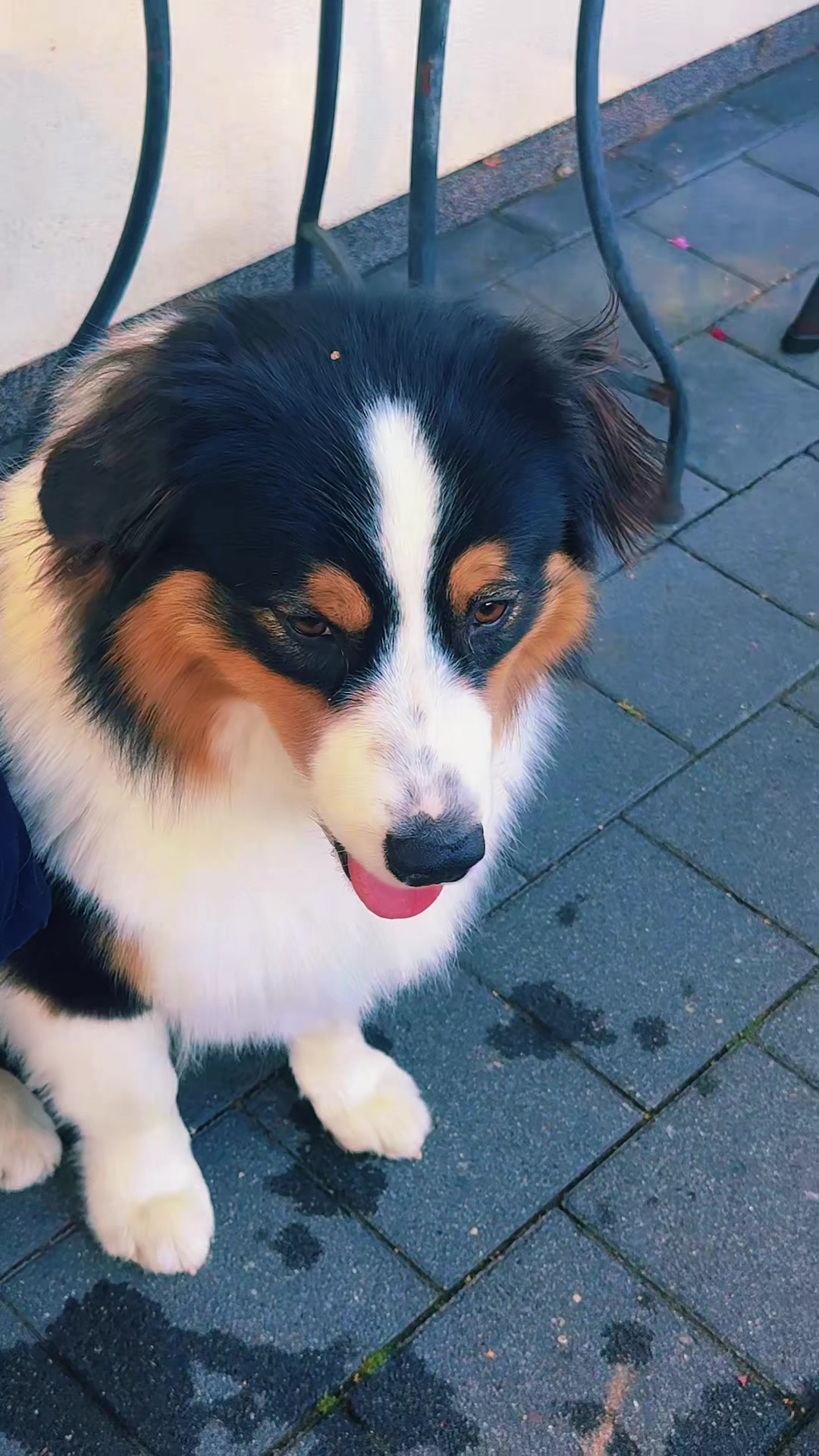 @Rico💕❤️-Vito🥰❤