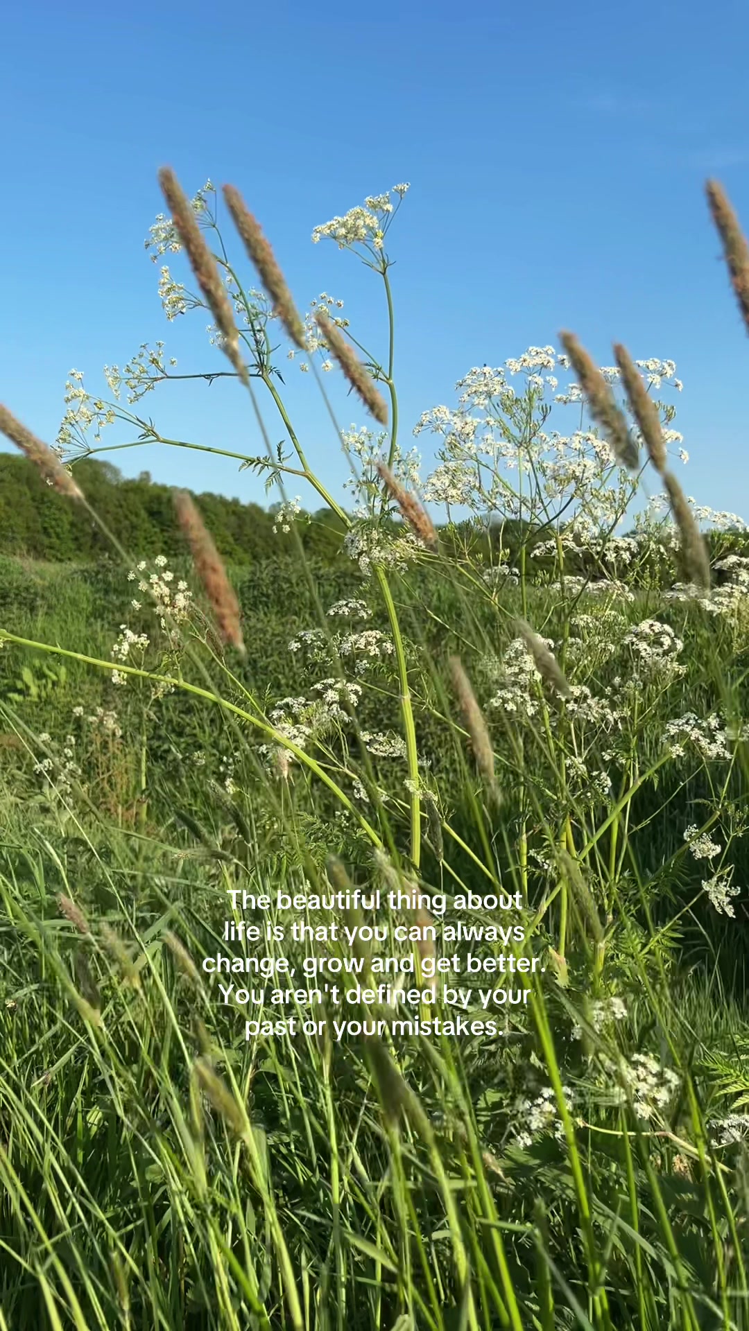 @Inspiredbynature🌿