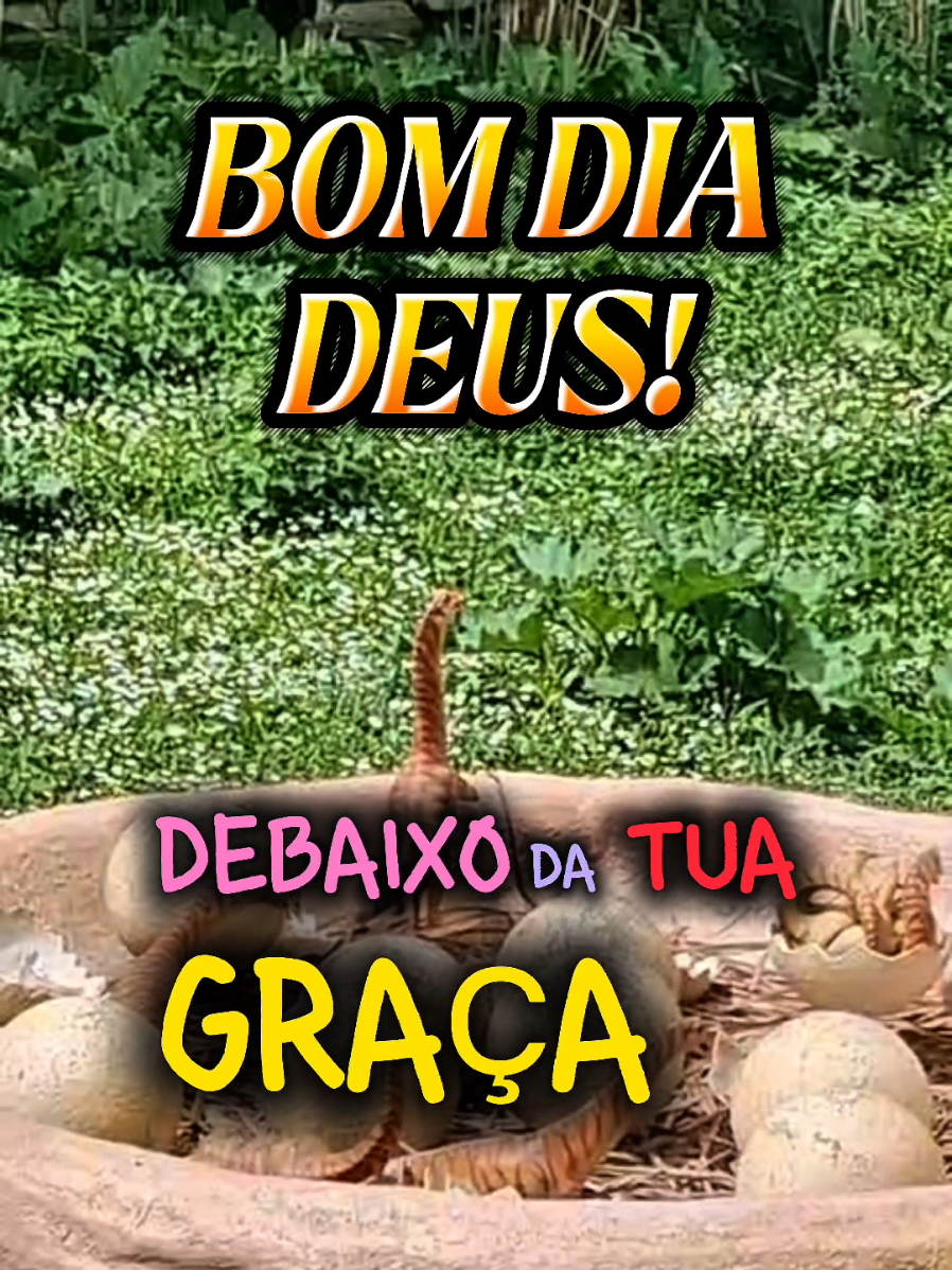 @PromessadeDeus91