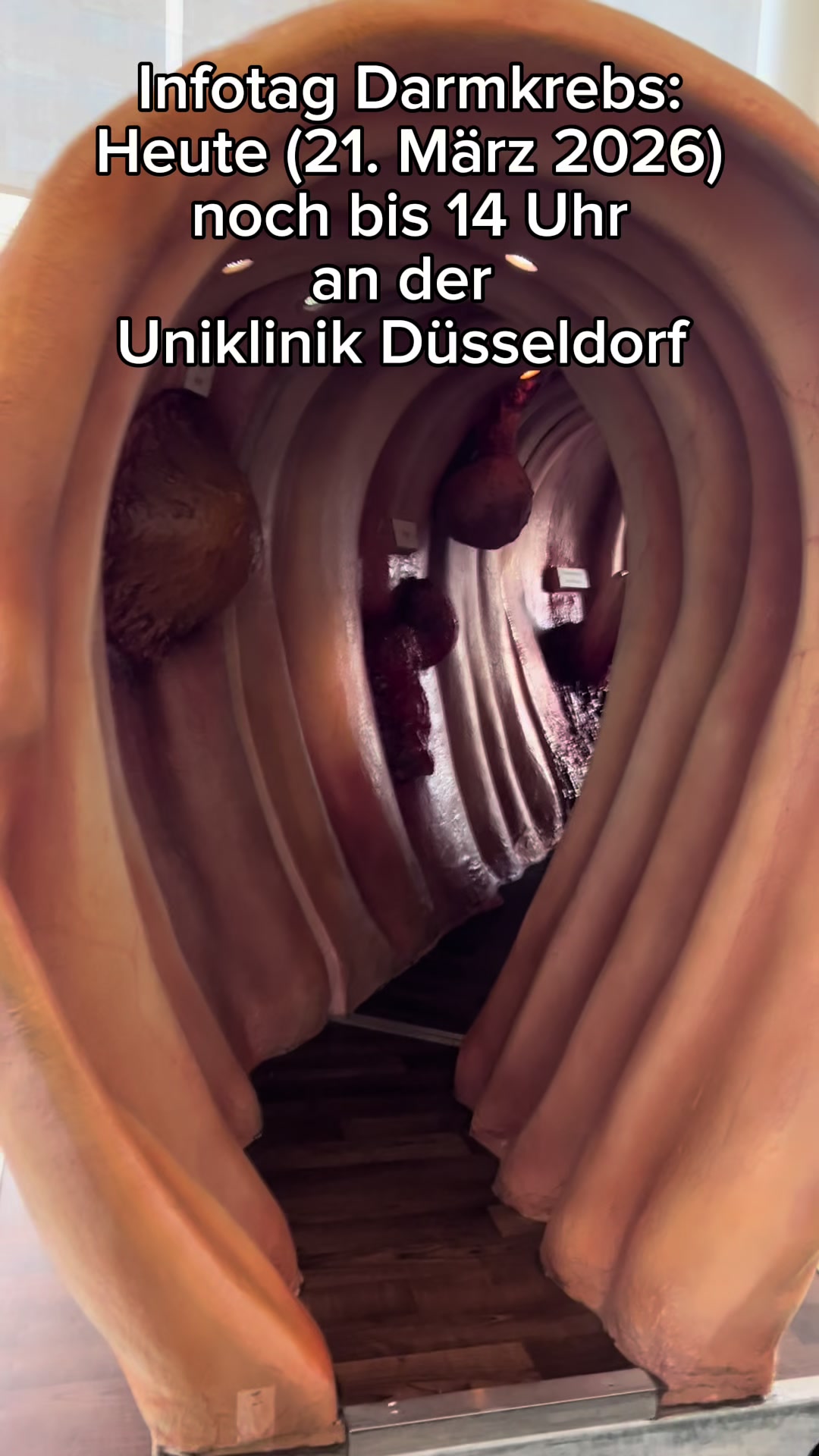 @Uniklinik D&uuml;sseldorf