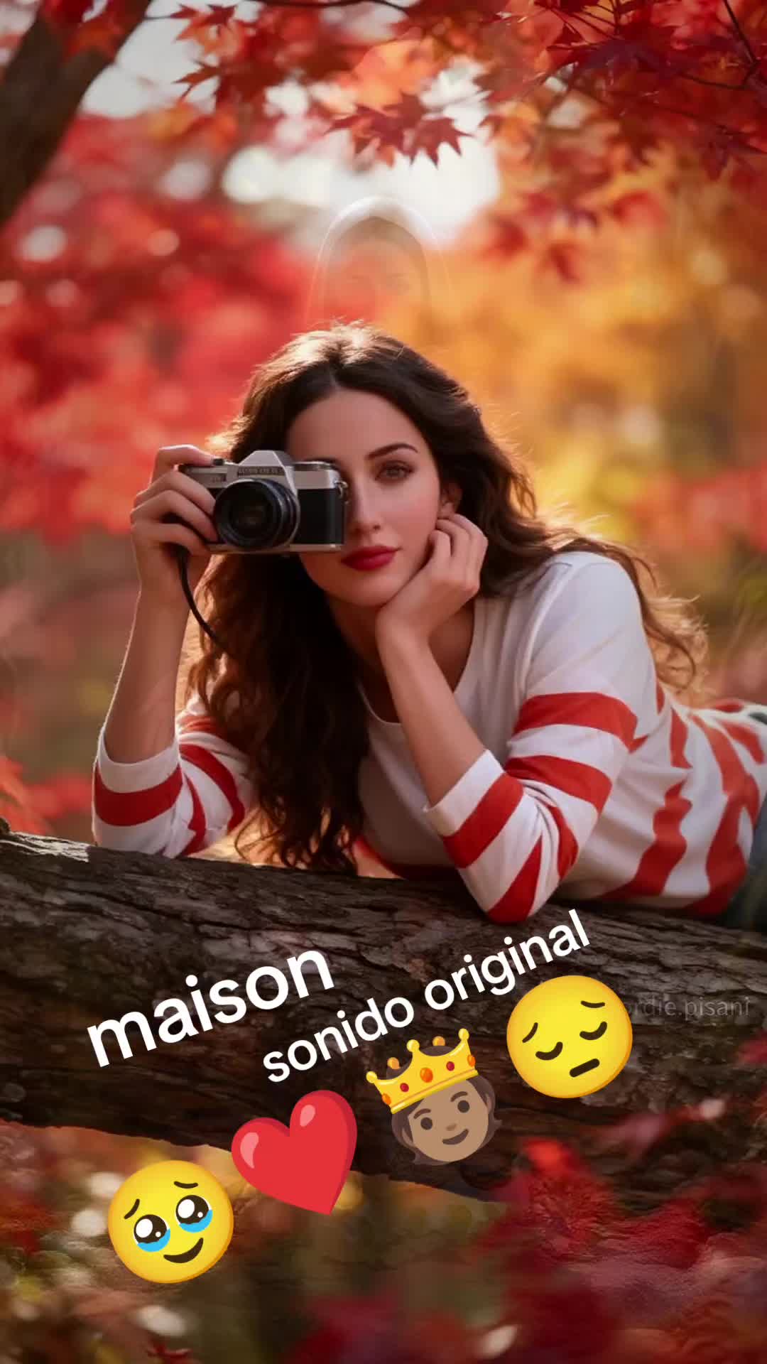 @use wusnes 1999