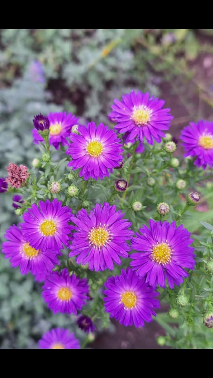 @Natur und Garten