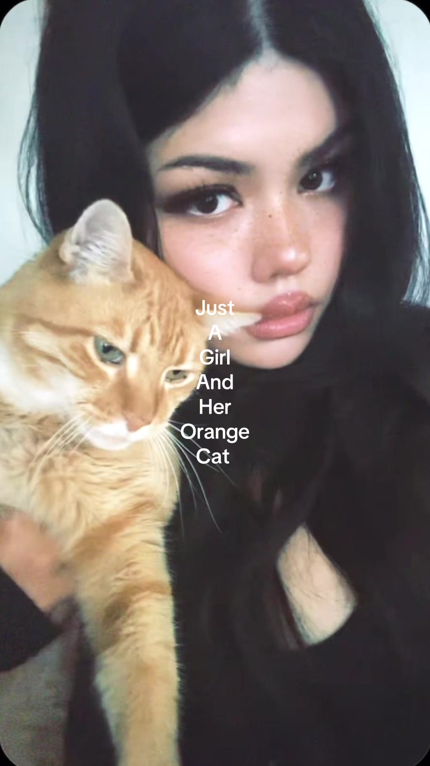 @Ashley. 🪶