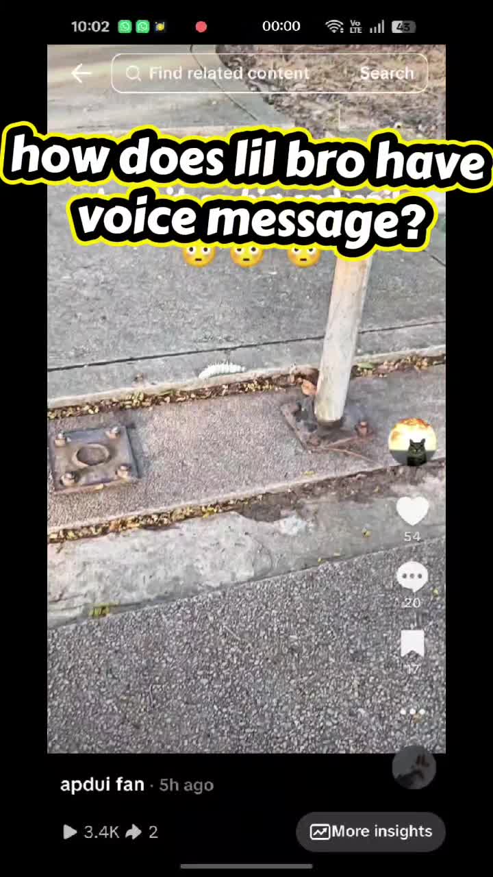 @apdui fan