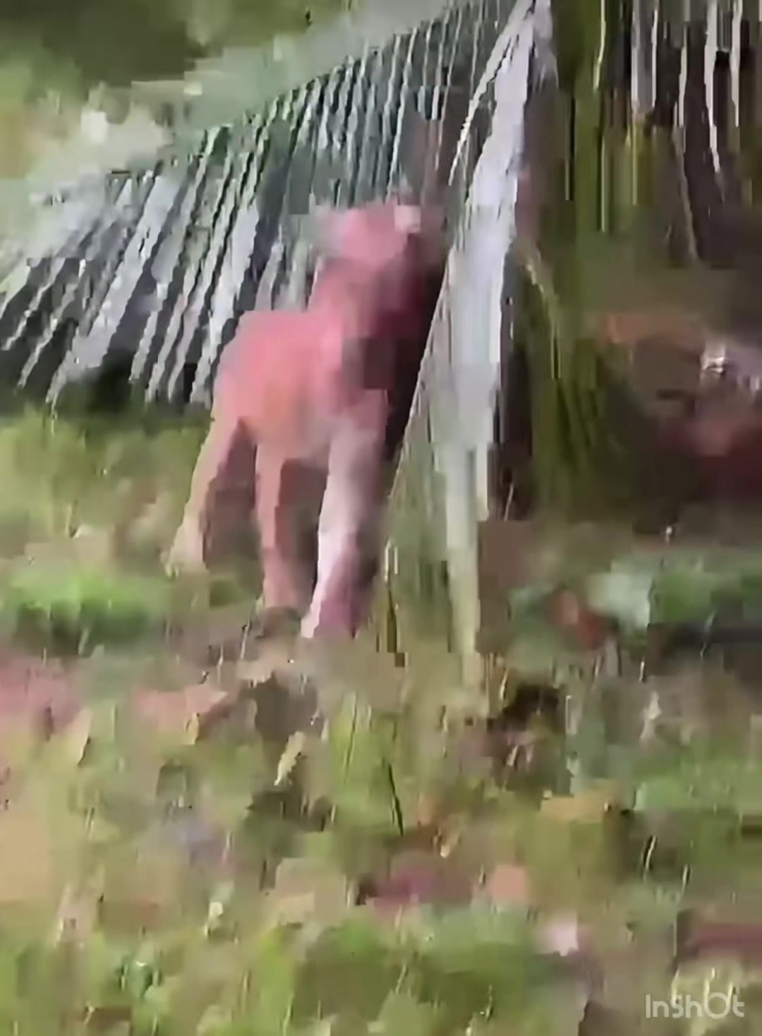 @InTheWildZone