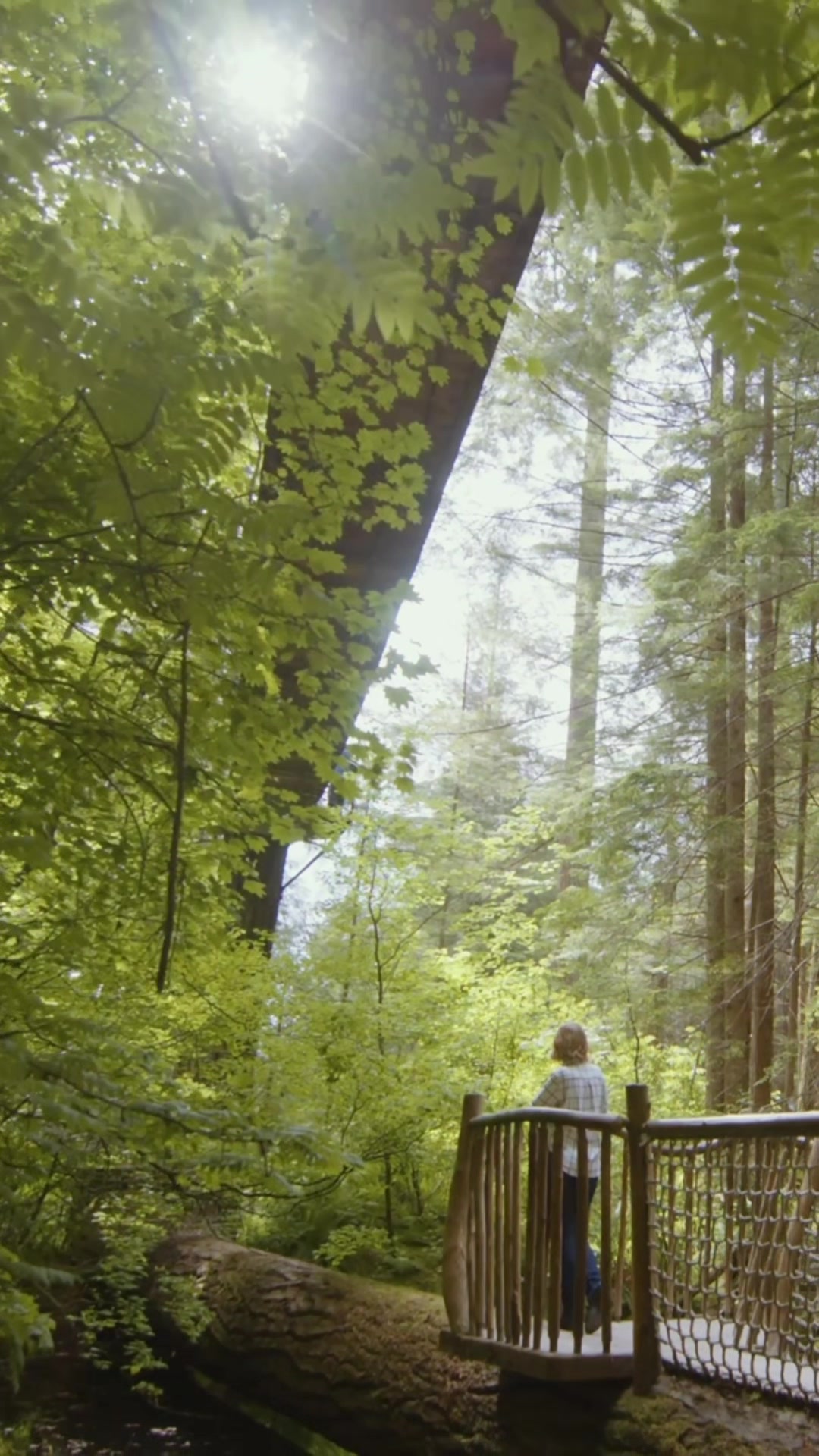 @Capilano Suspension Bridge
