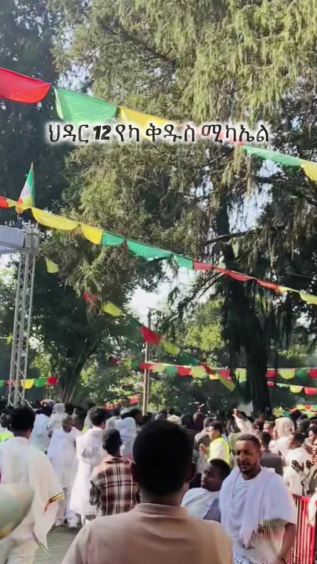 @Frezer Bekele