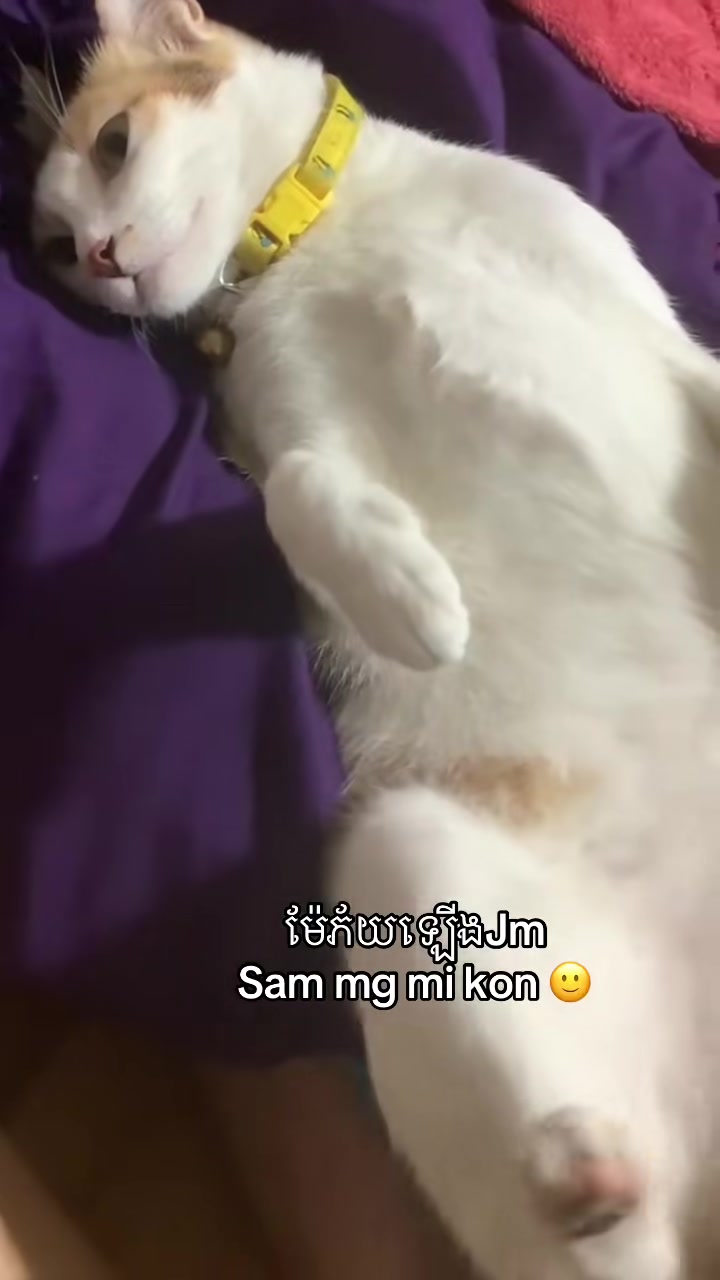 @Mew mew