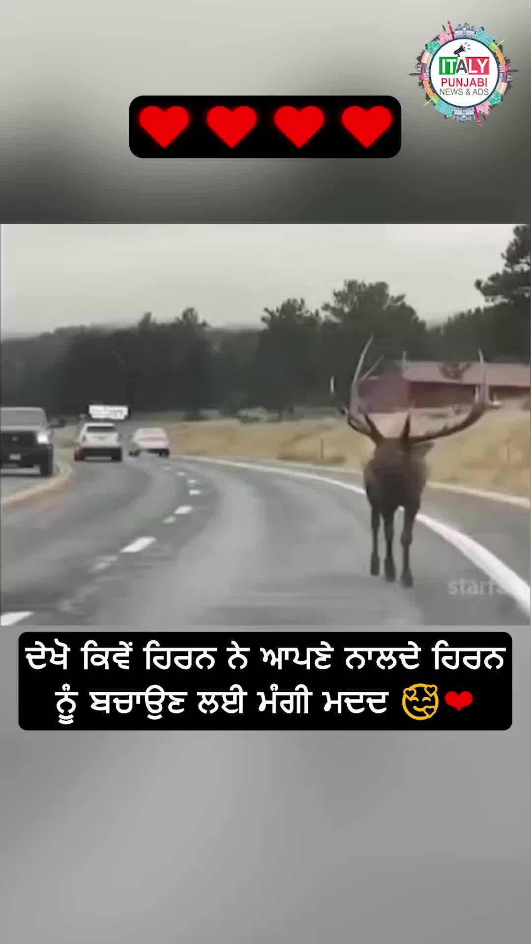 @ItalyPunjabiNewsAds