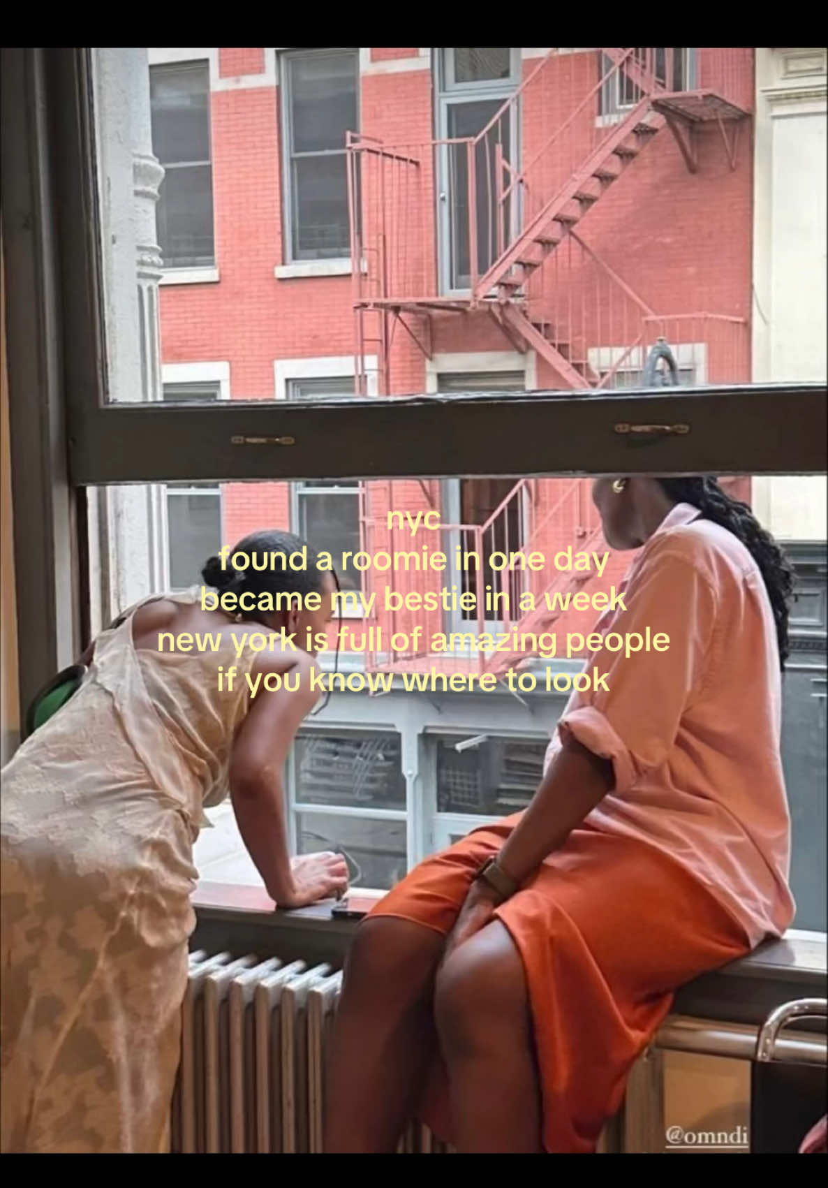 @daniella