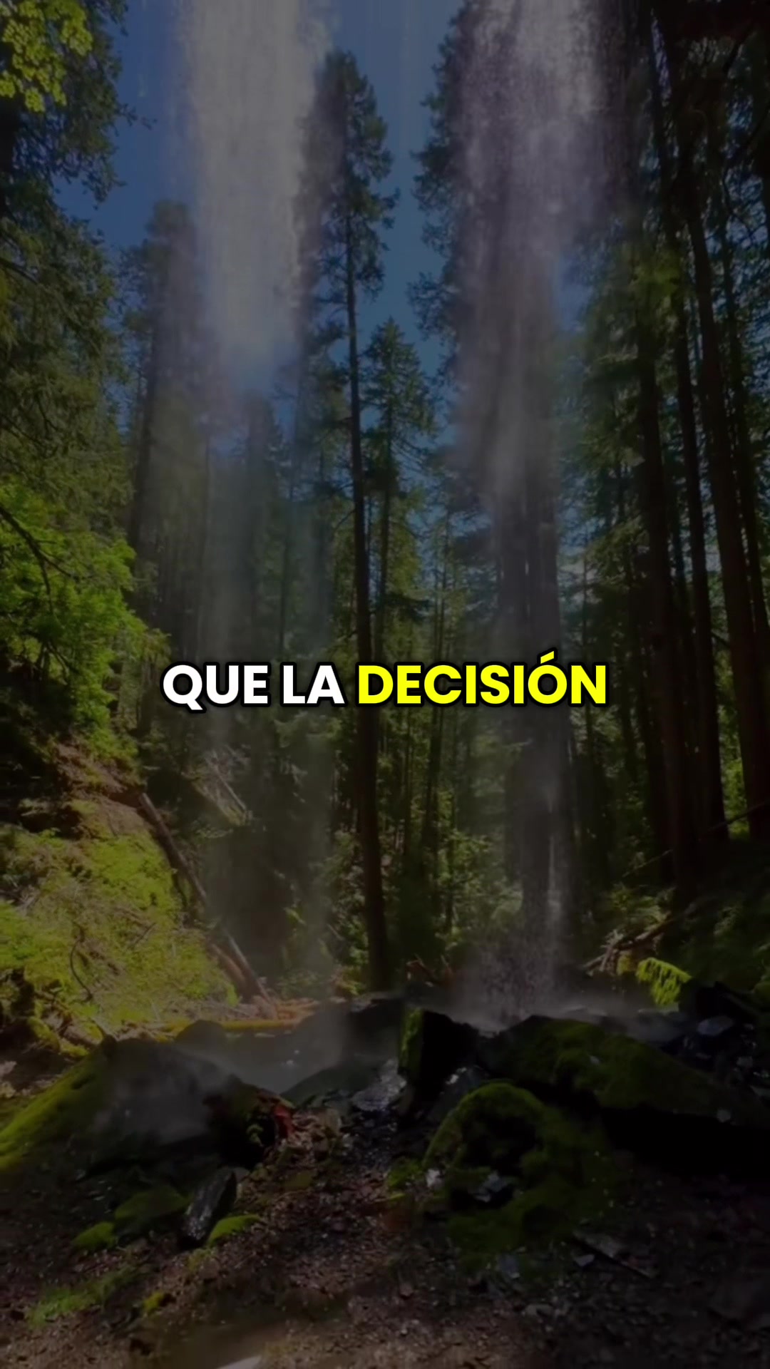 @frases letras